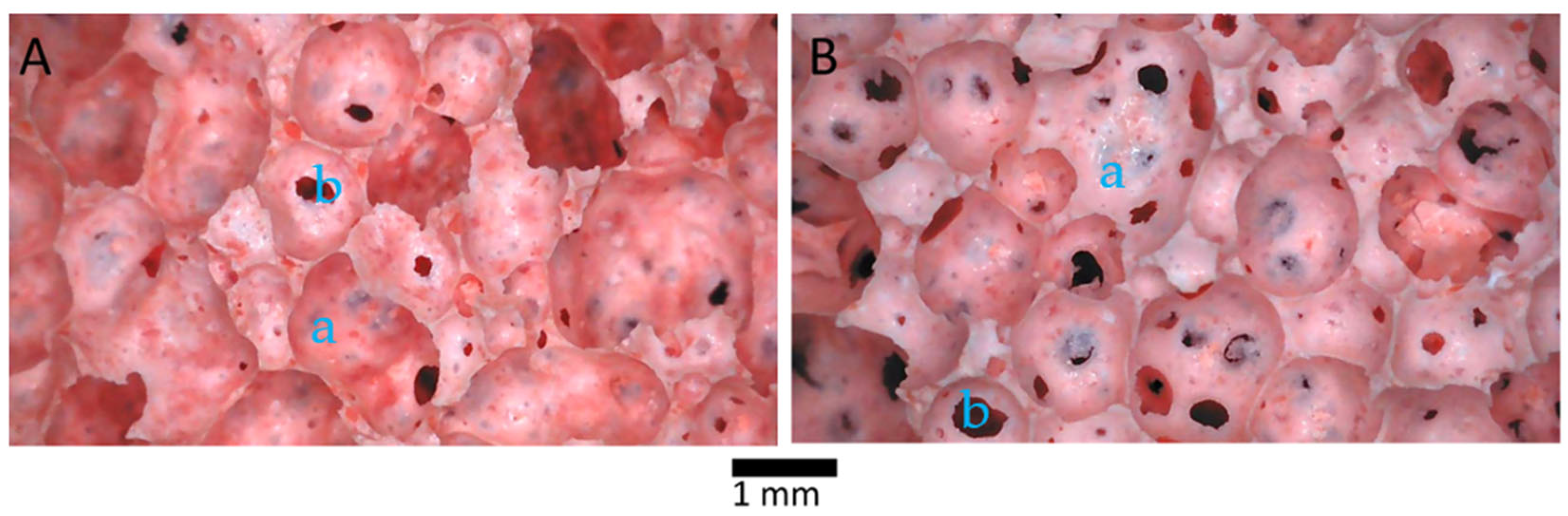 Materials 18 00678 g002