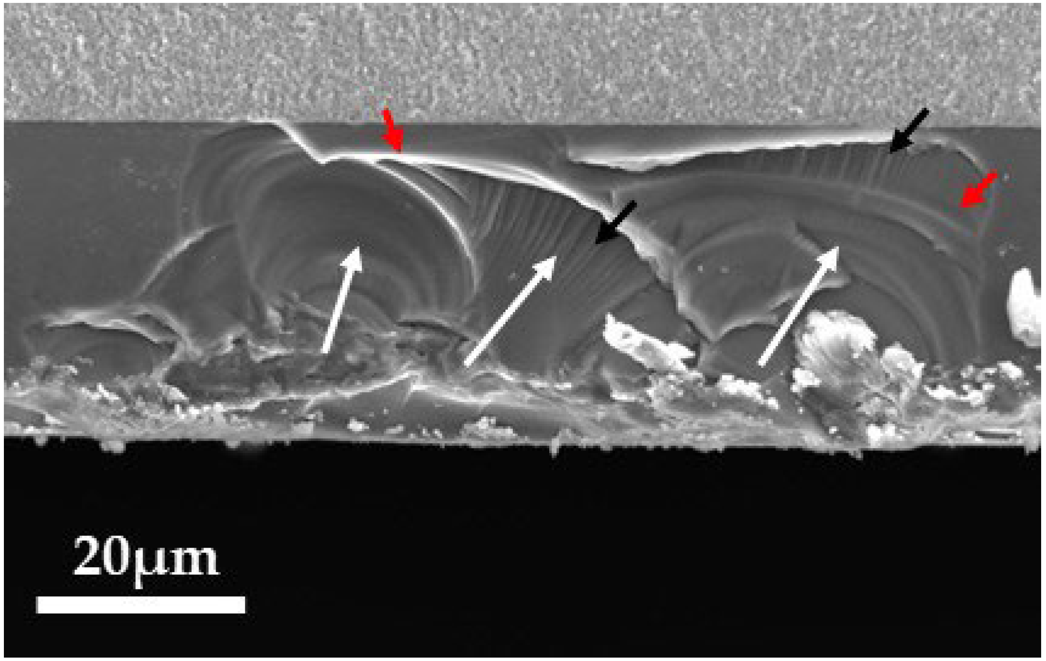 Materials 18 00684 g014 Materials 18 00684 g014