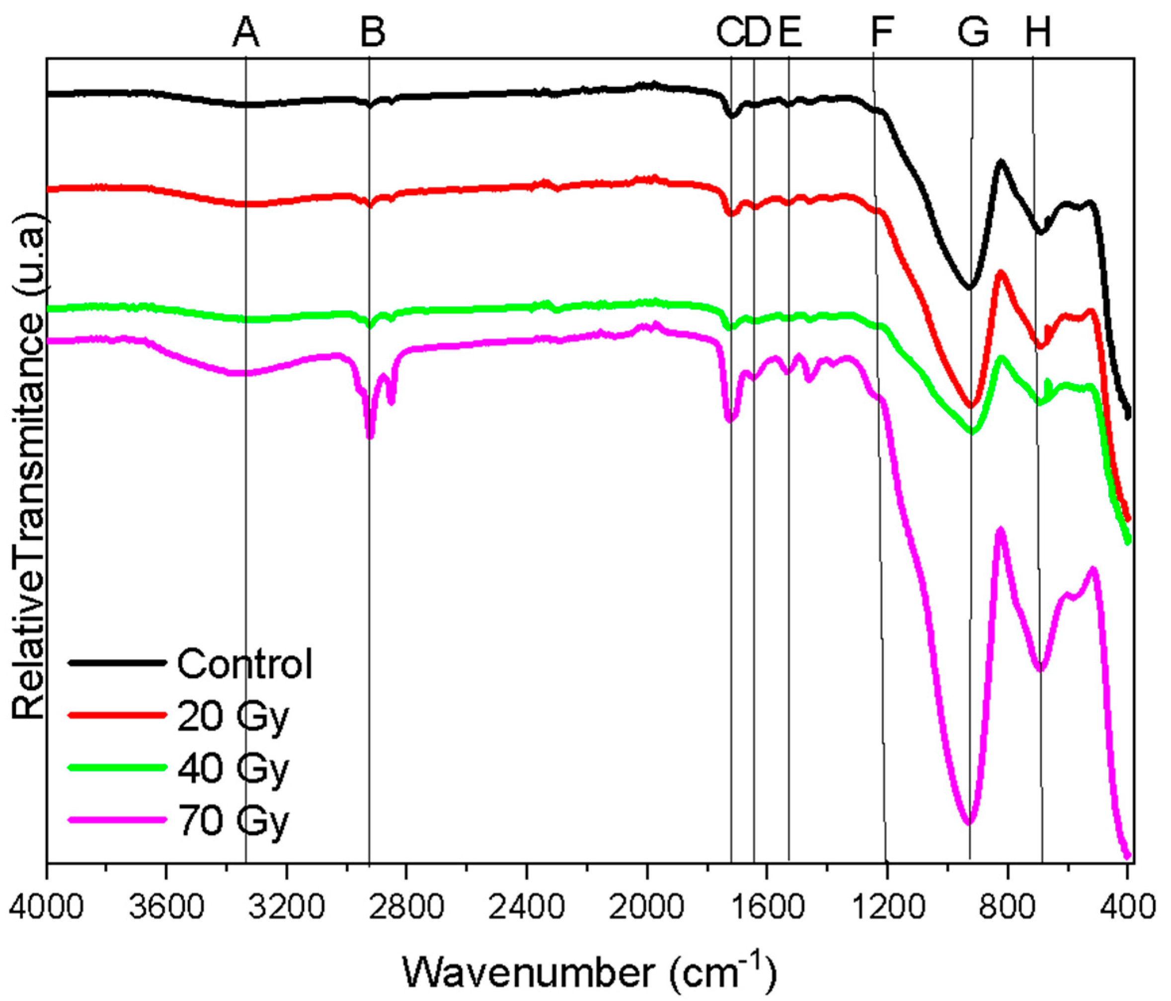 Materials 18 00702 g005