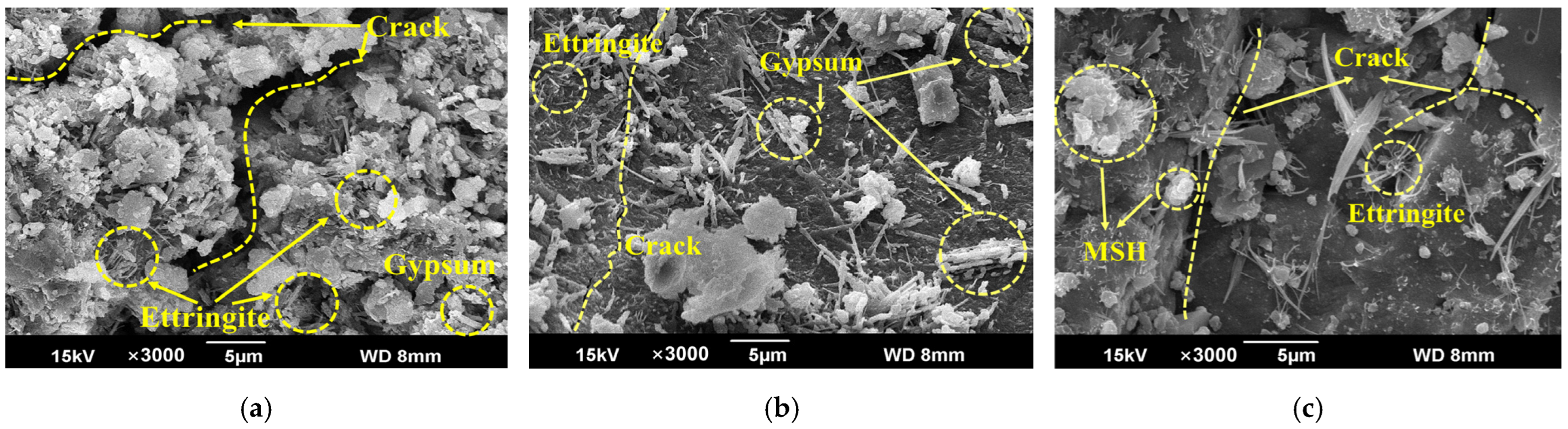 Materials 18 00704 g016