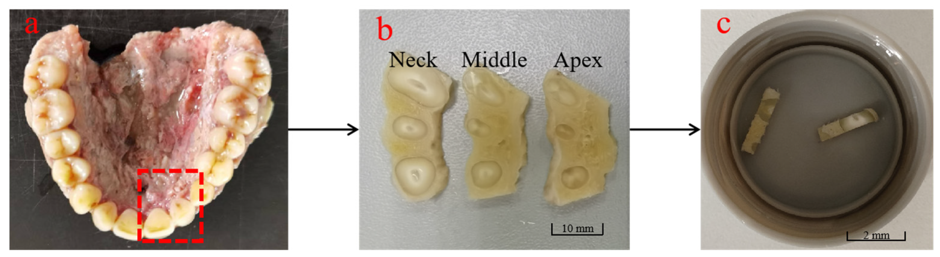 Materials 18 00705 g001