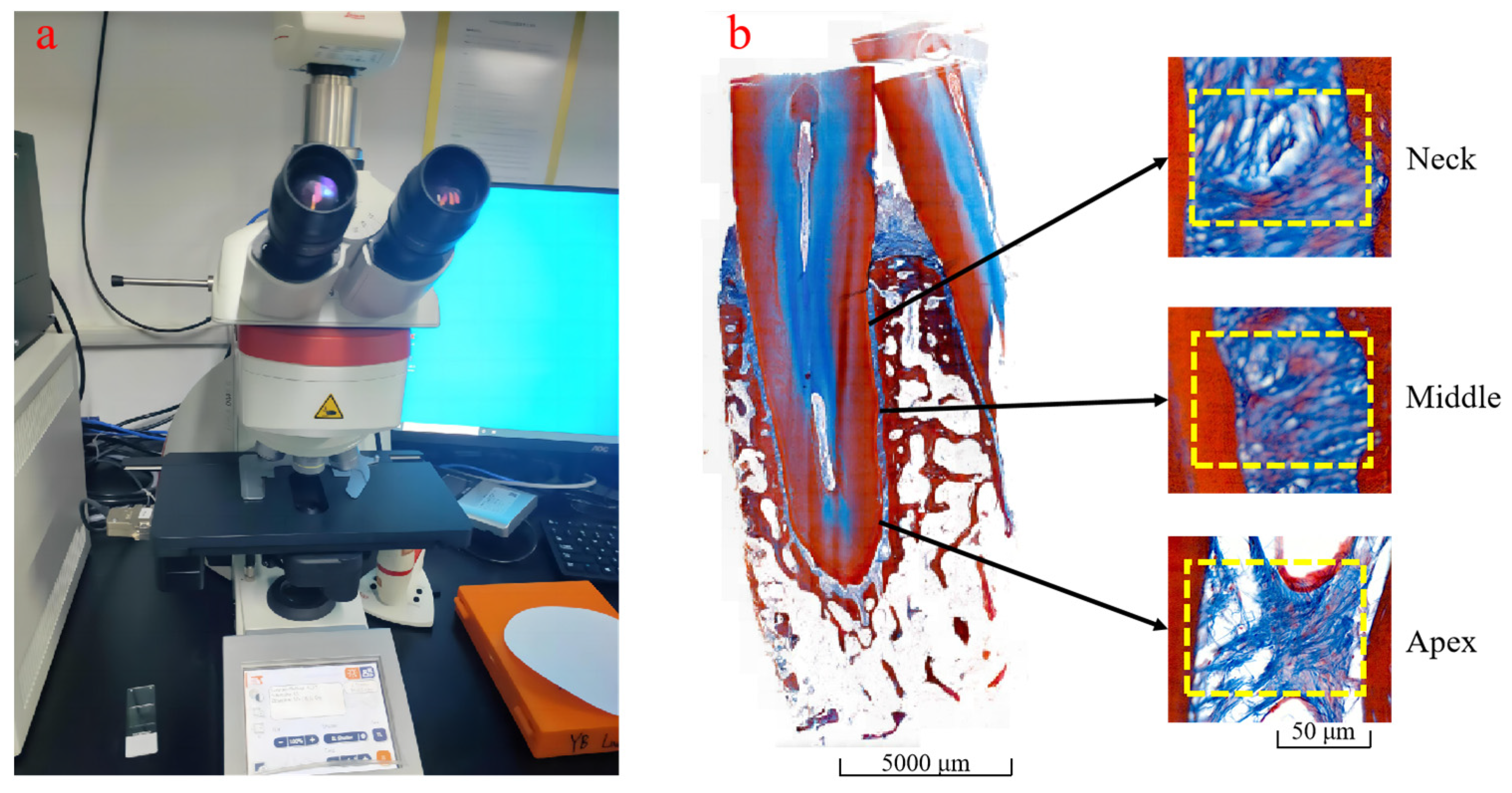 Materials 18 00705 g002