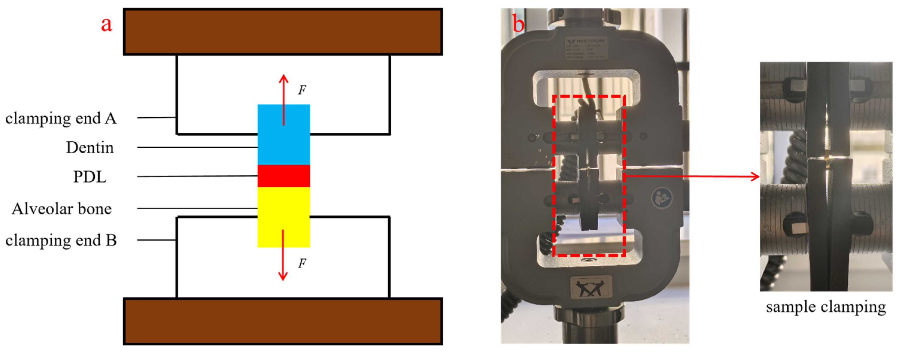 Materials 18 00705 g003