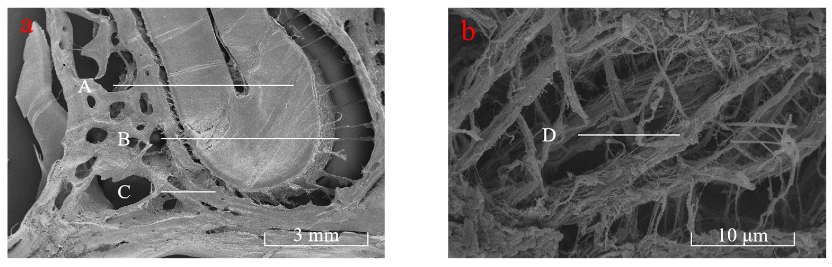 Materials 18 00705 g004