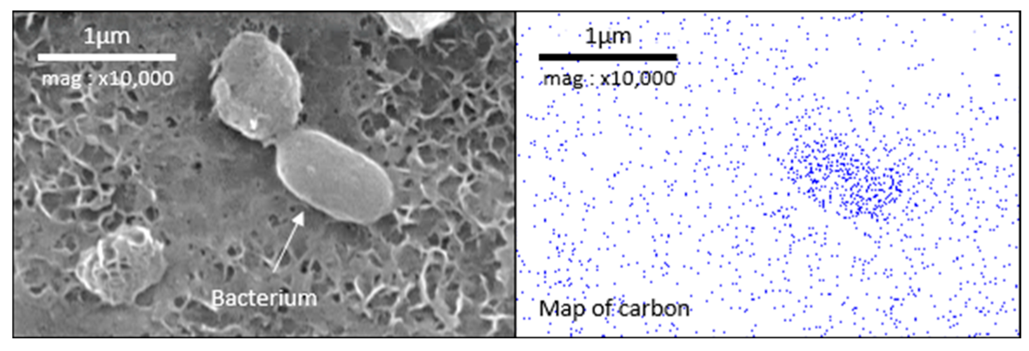 Materials 18 00708 g012