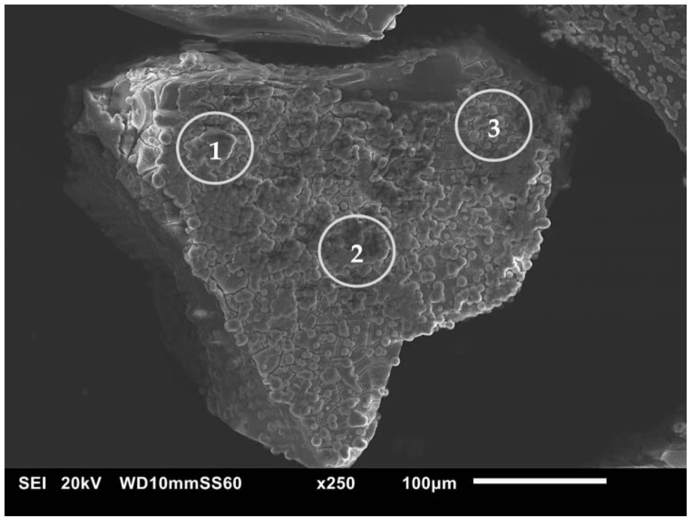 Materials 18 00709 g008