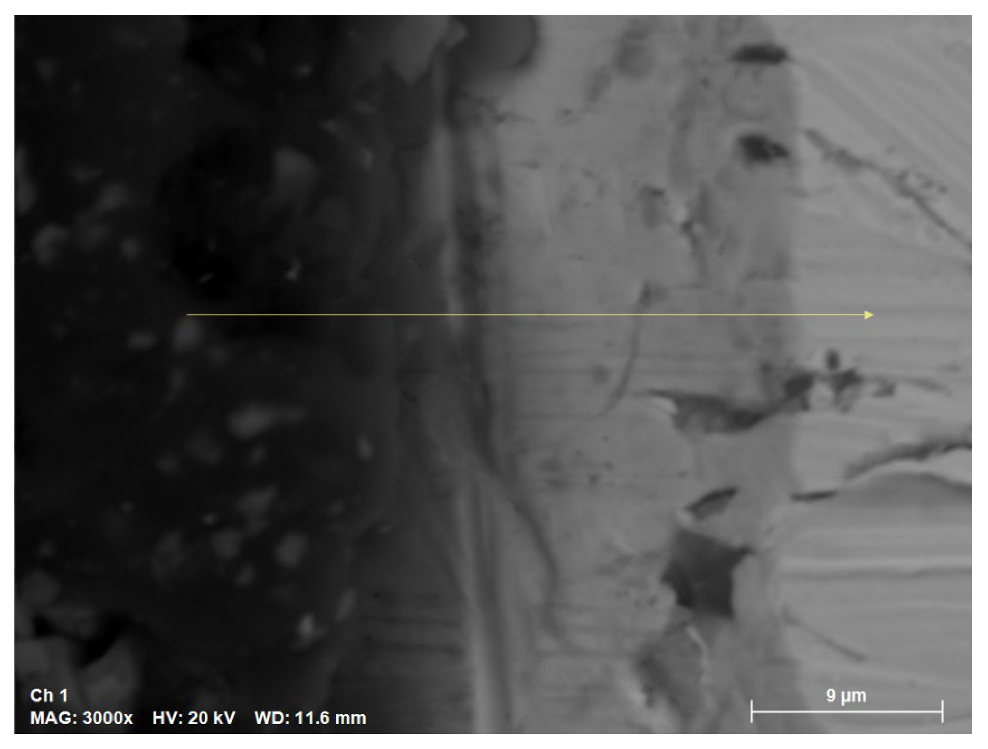 Materials 18 00713 g007