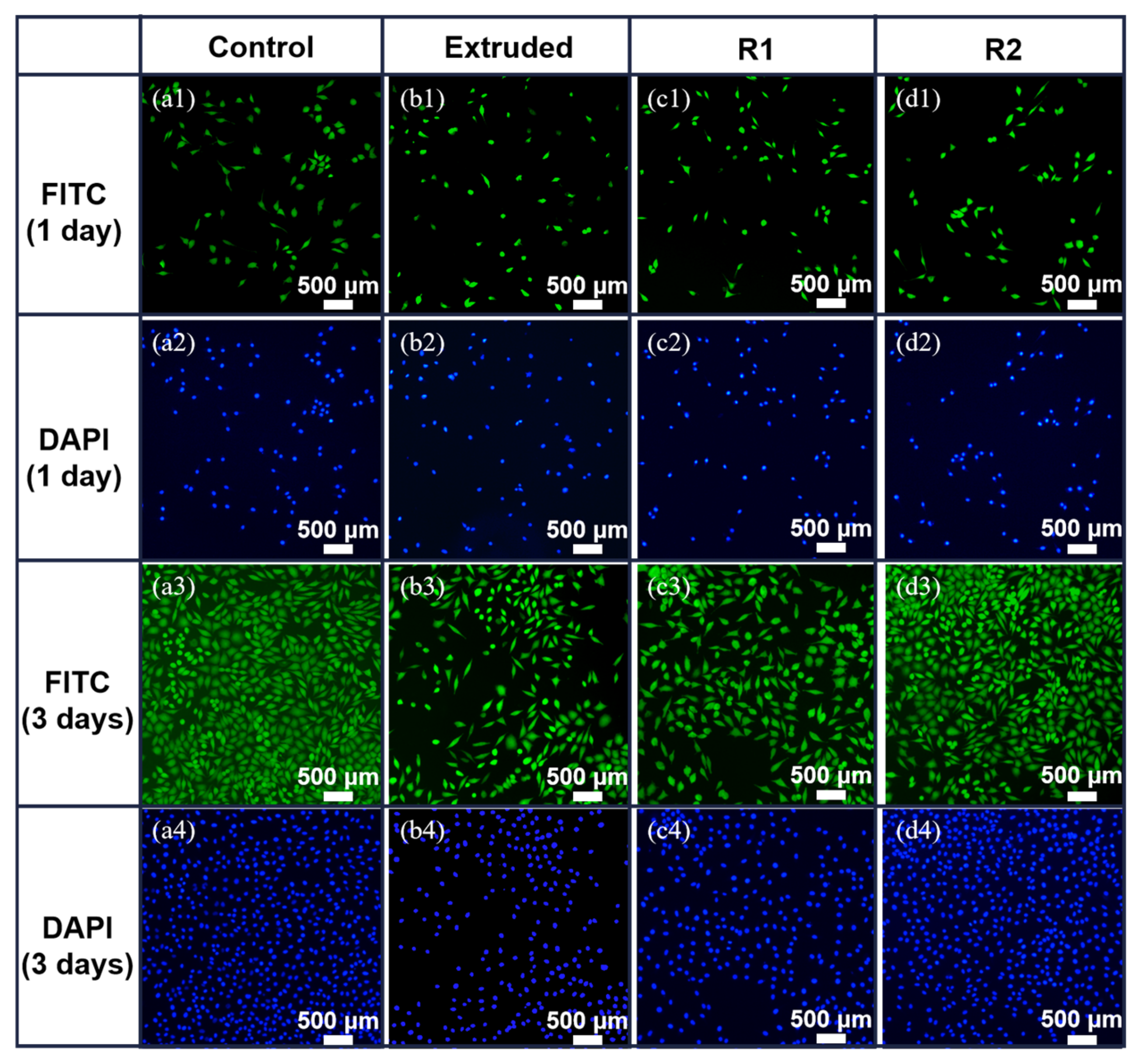 Materials 18 00722 g011