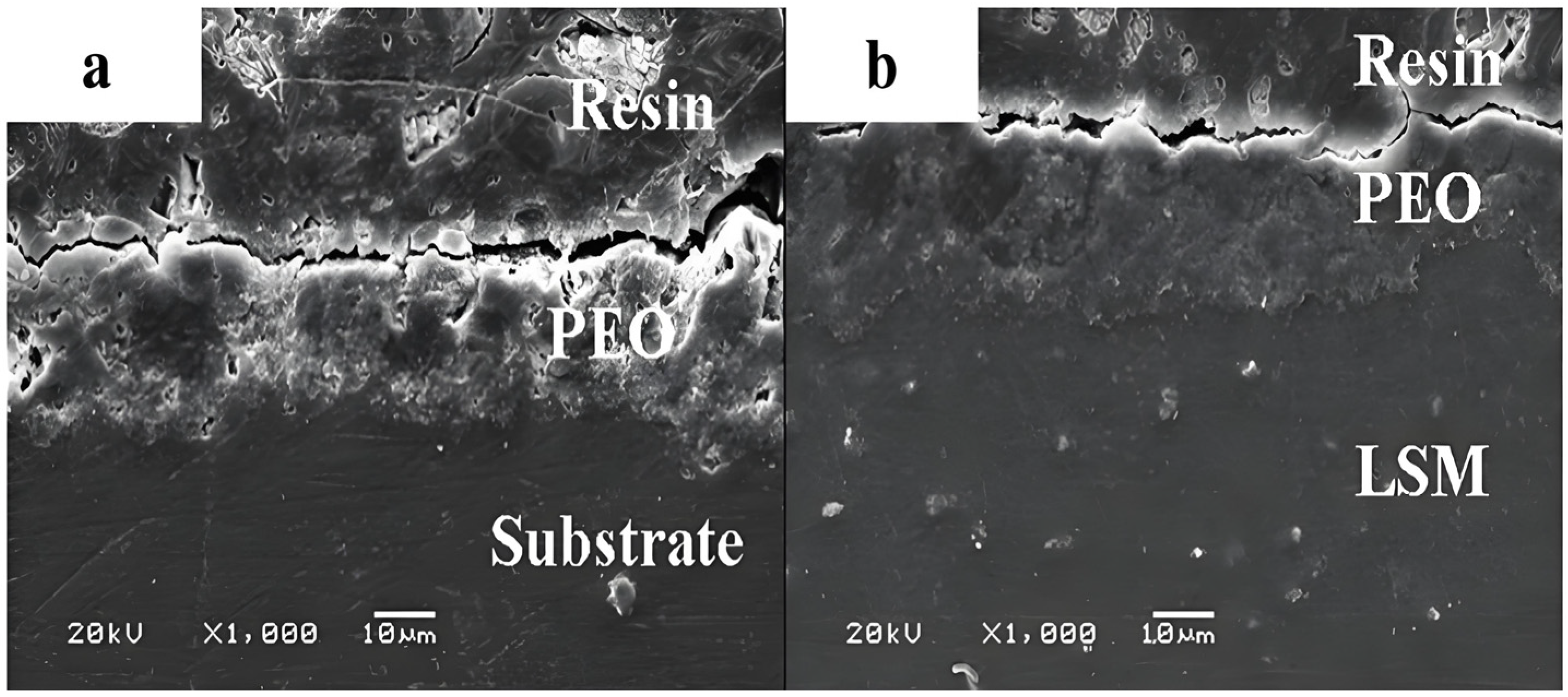 Materials 18 00723 g008