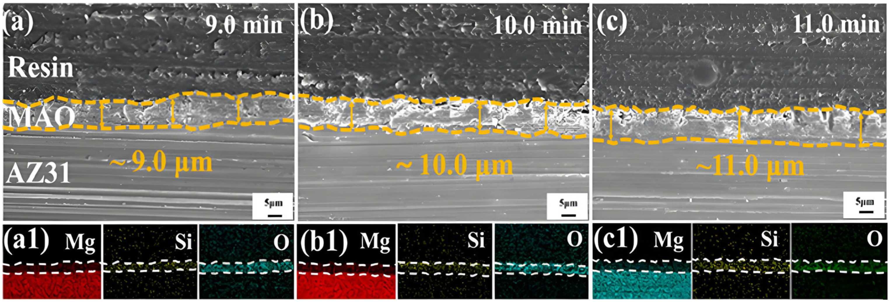 Materials 18 00723 g015