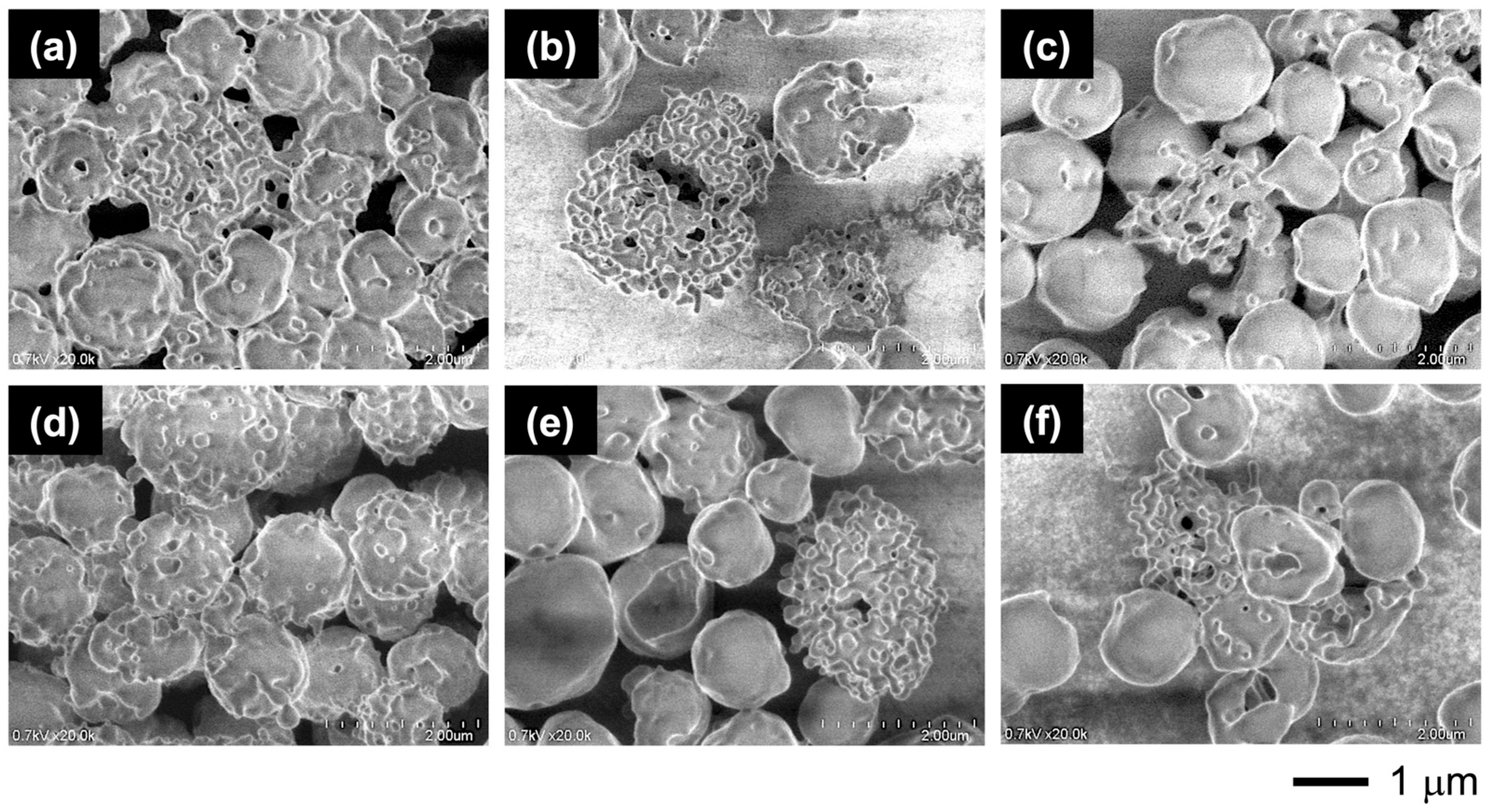 Materials 18 00727 g015