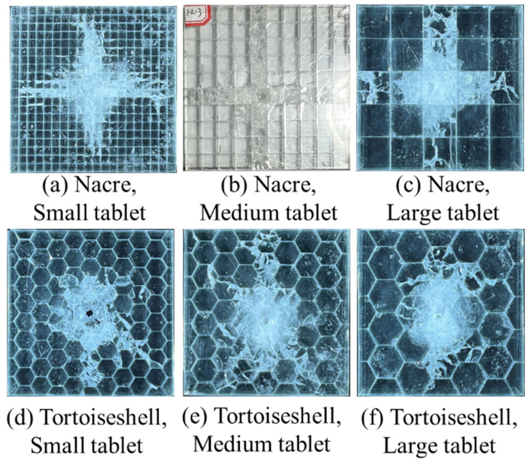 Materials 18 00739 g017