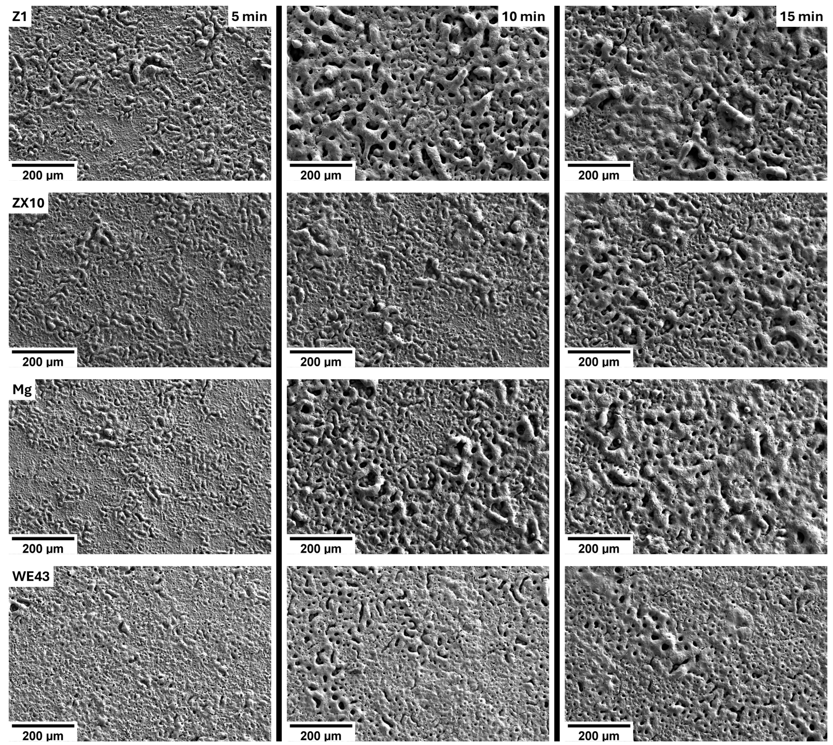 Materials 18 00747 g002