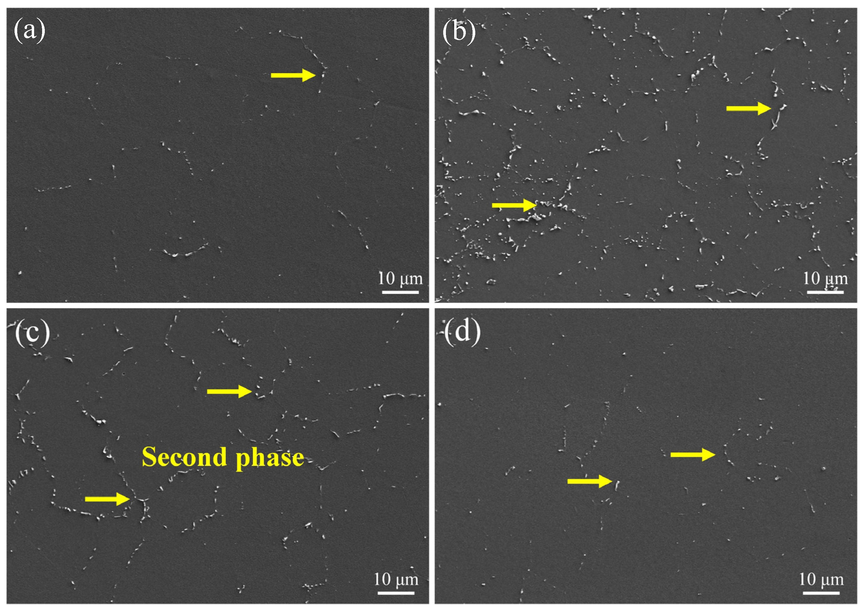 Materials 18 00751 g003 Materials 18 00751 g003