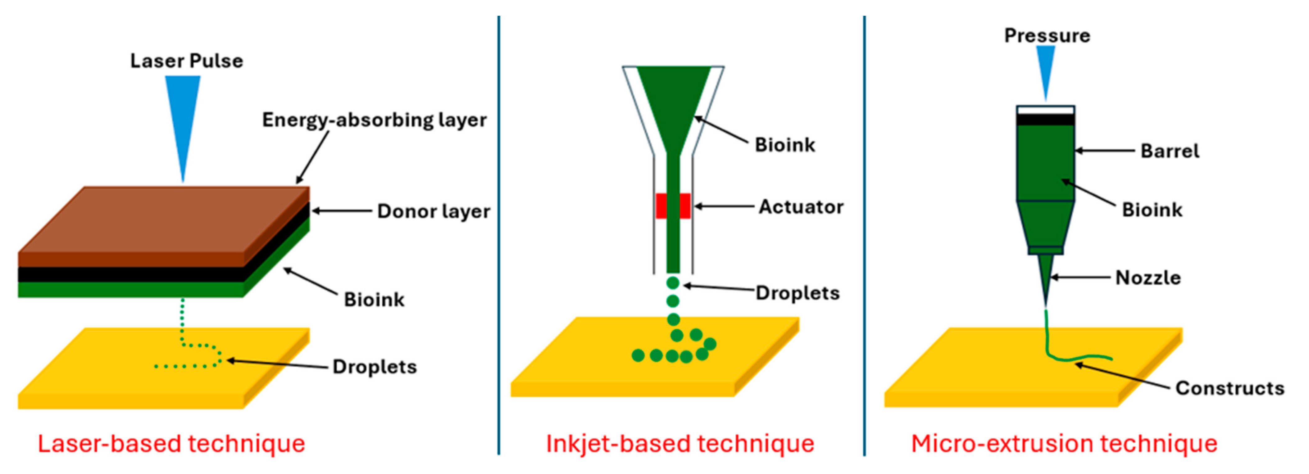Materials 18 00753 g001