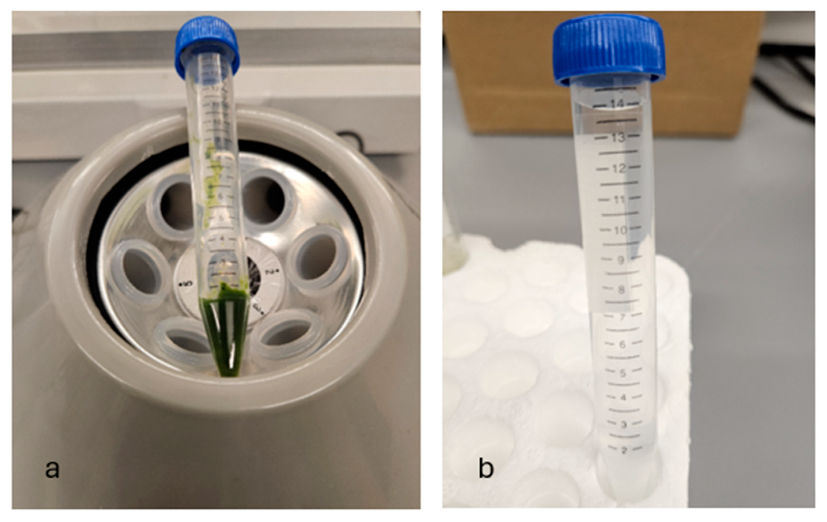 Materials 18 00753 g003