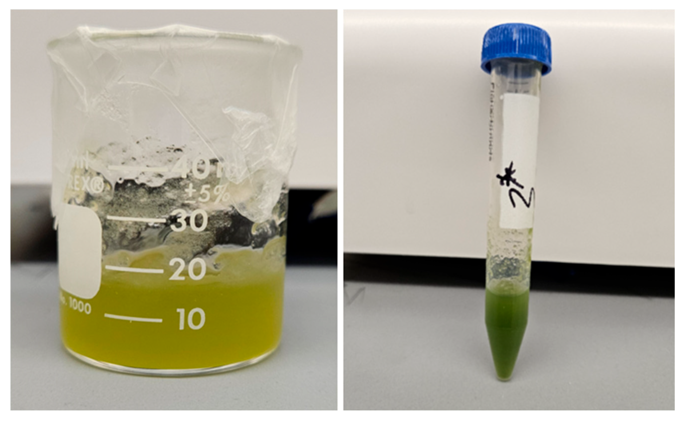 Materials 18 00753 g004