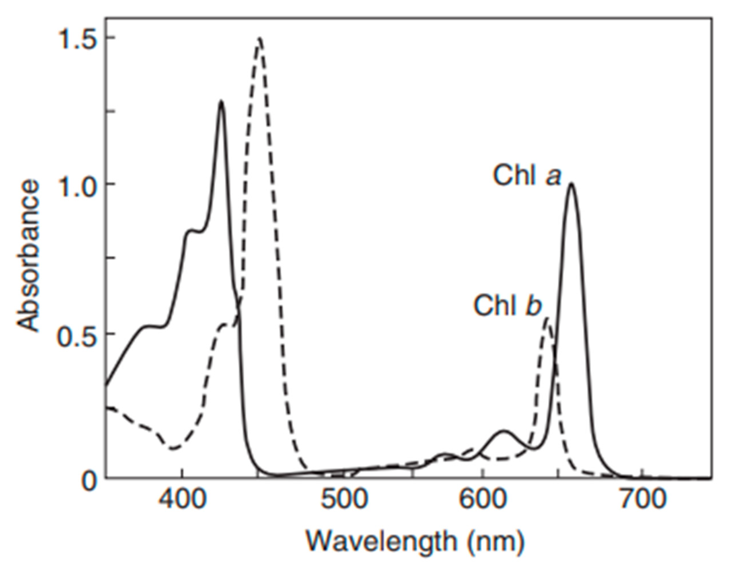 Materials 18 00753 g005