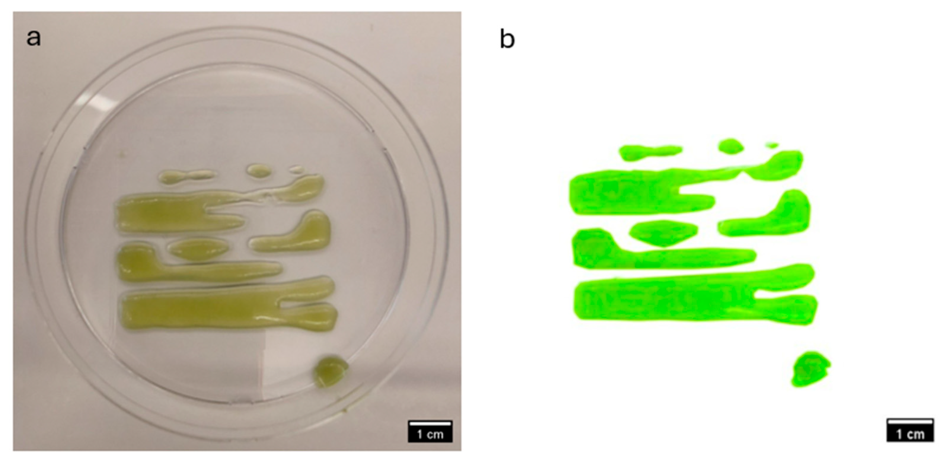 Materials 18 00753 g017