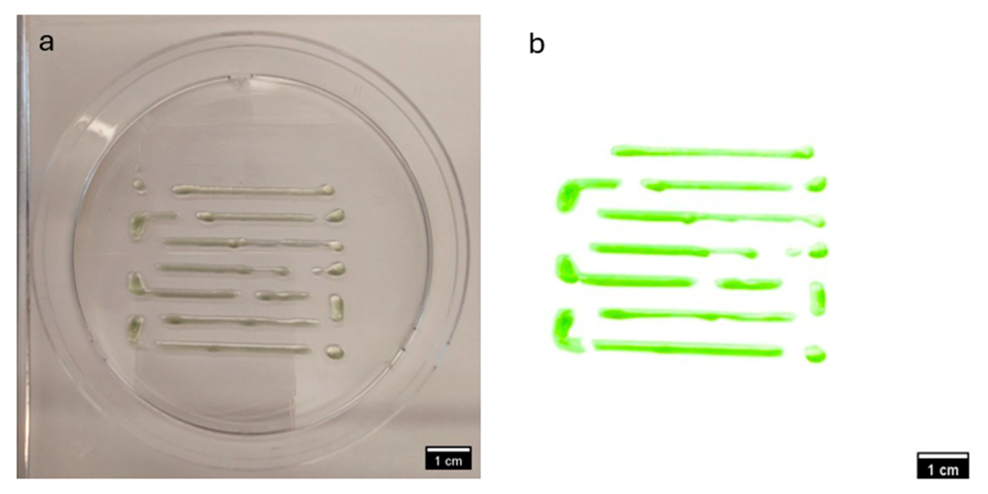Materials 18 00753 g018