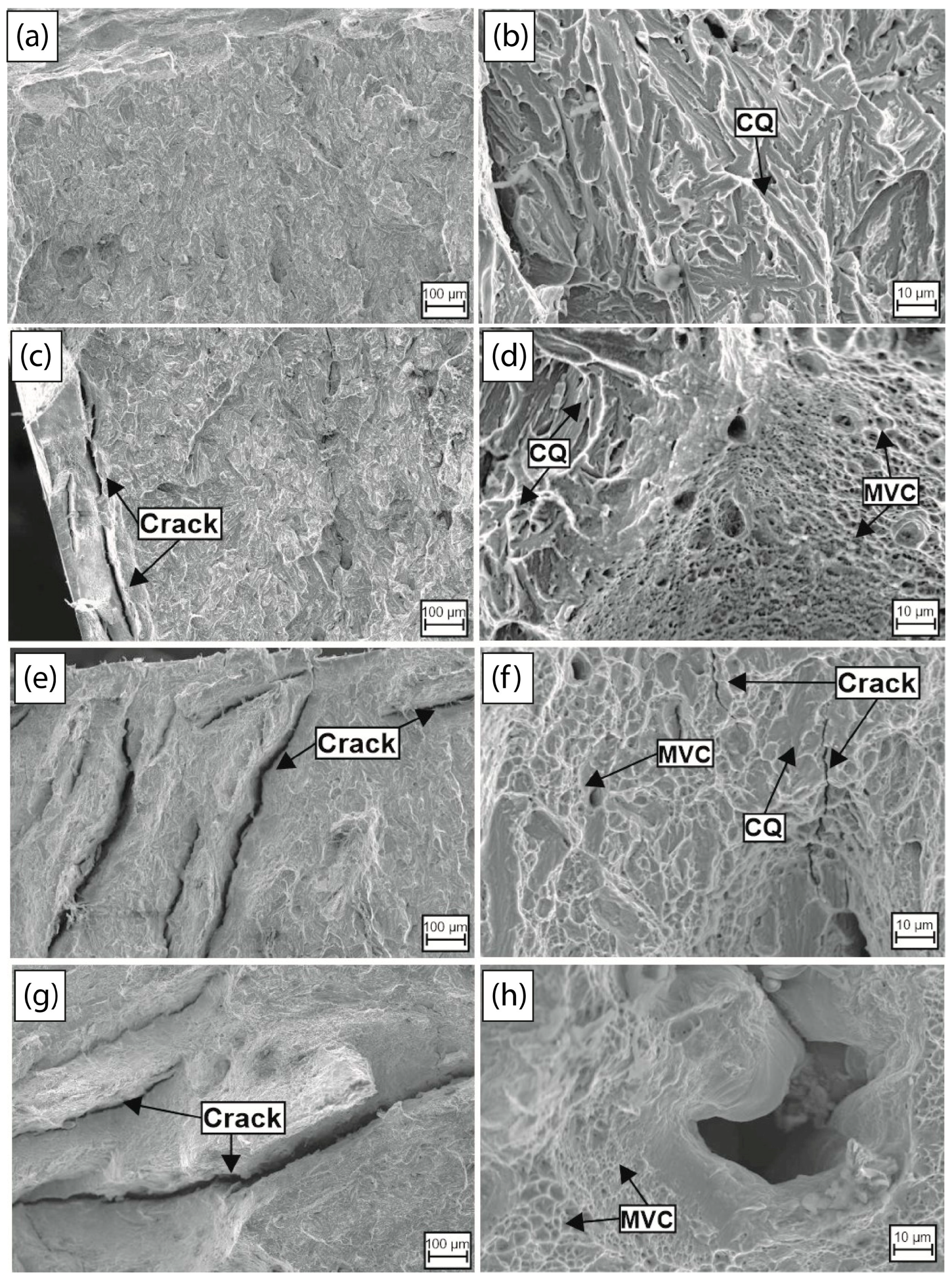 Materials 18 00764 g008