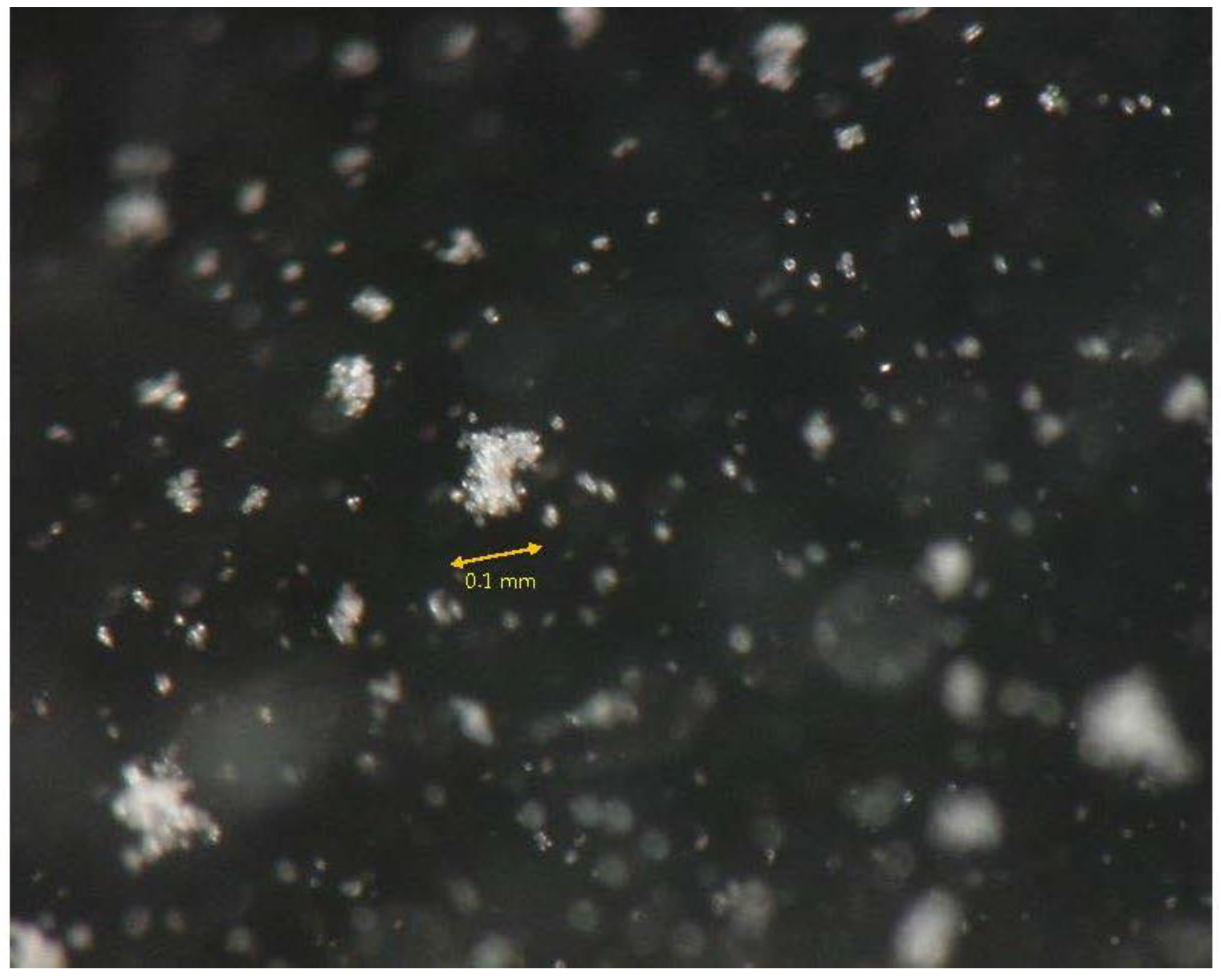 Materials 18 00809 g011