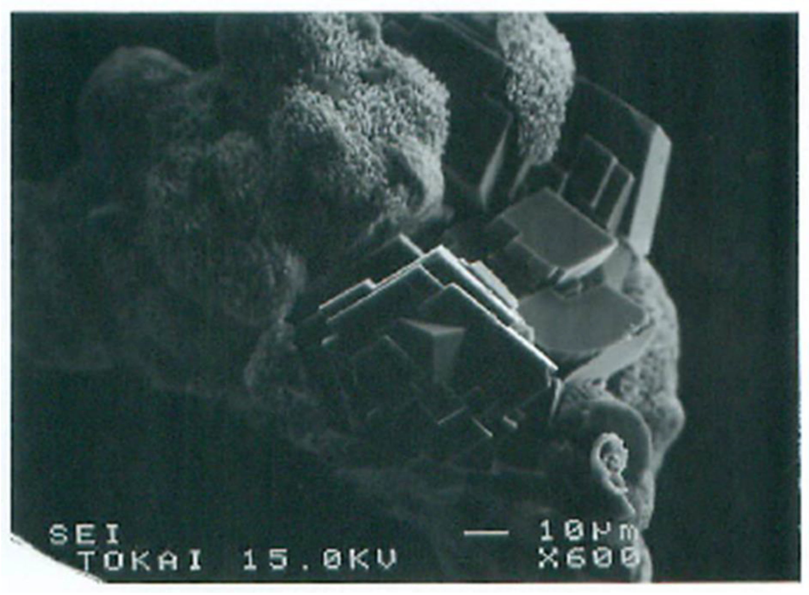 Materials 18 00809 g012