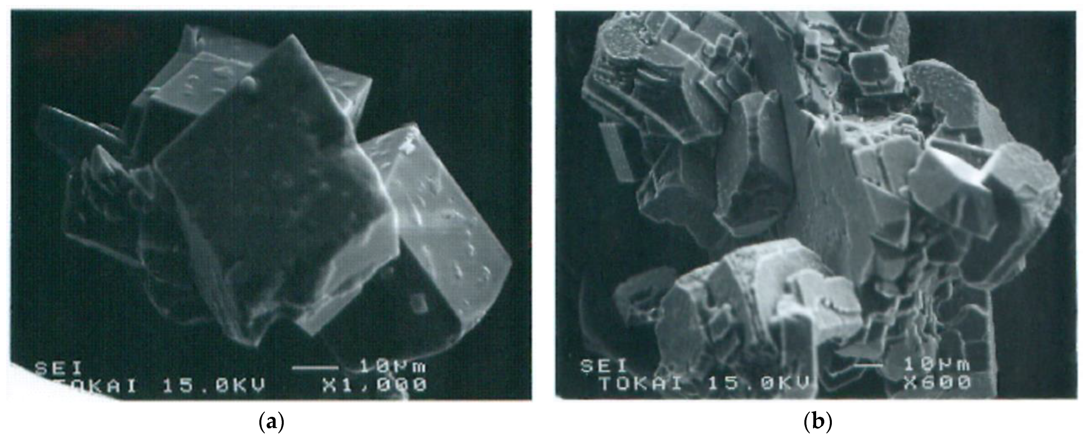 Materials 18 00809 g013