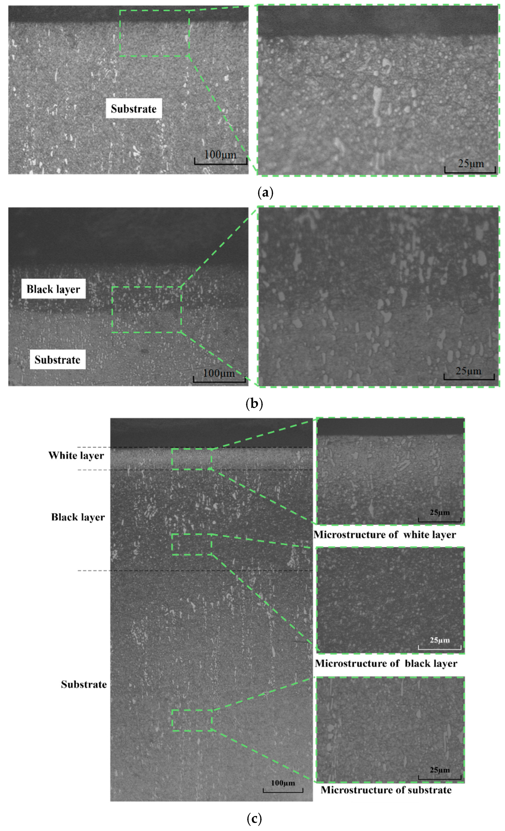 Materials 18 00814 g011