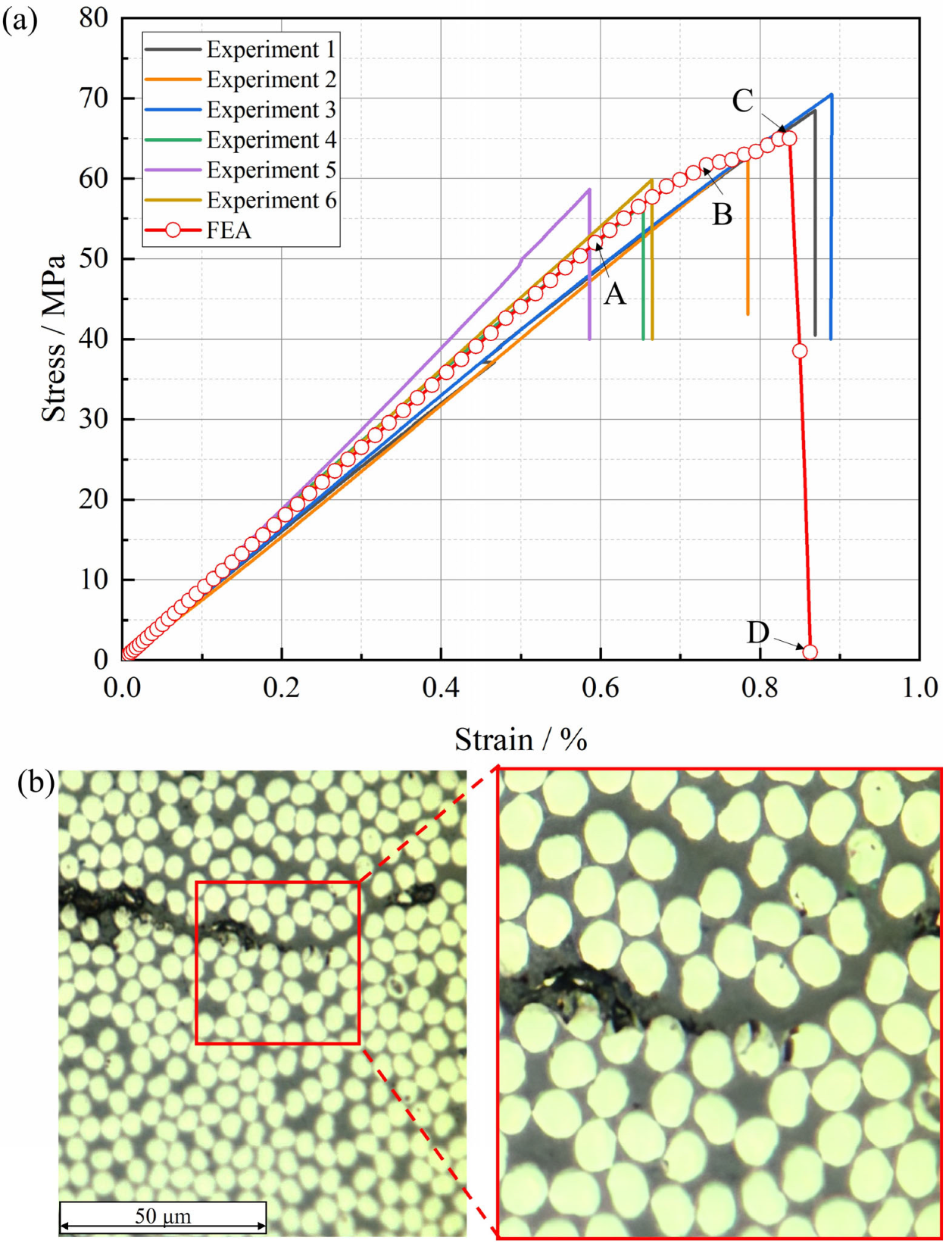 Materials 18 00816 g010