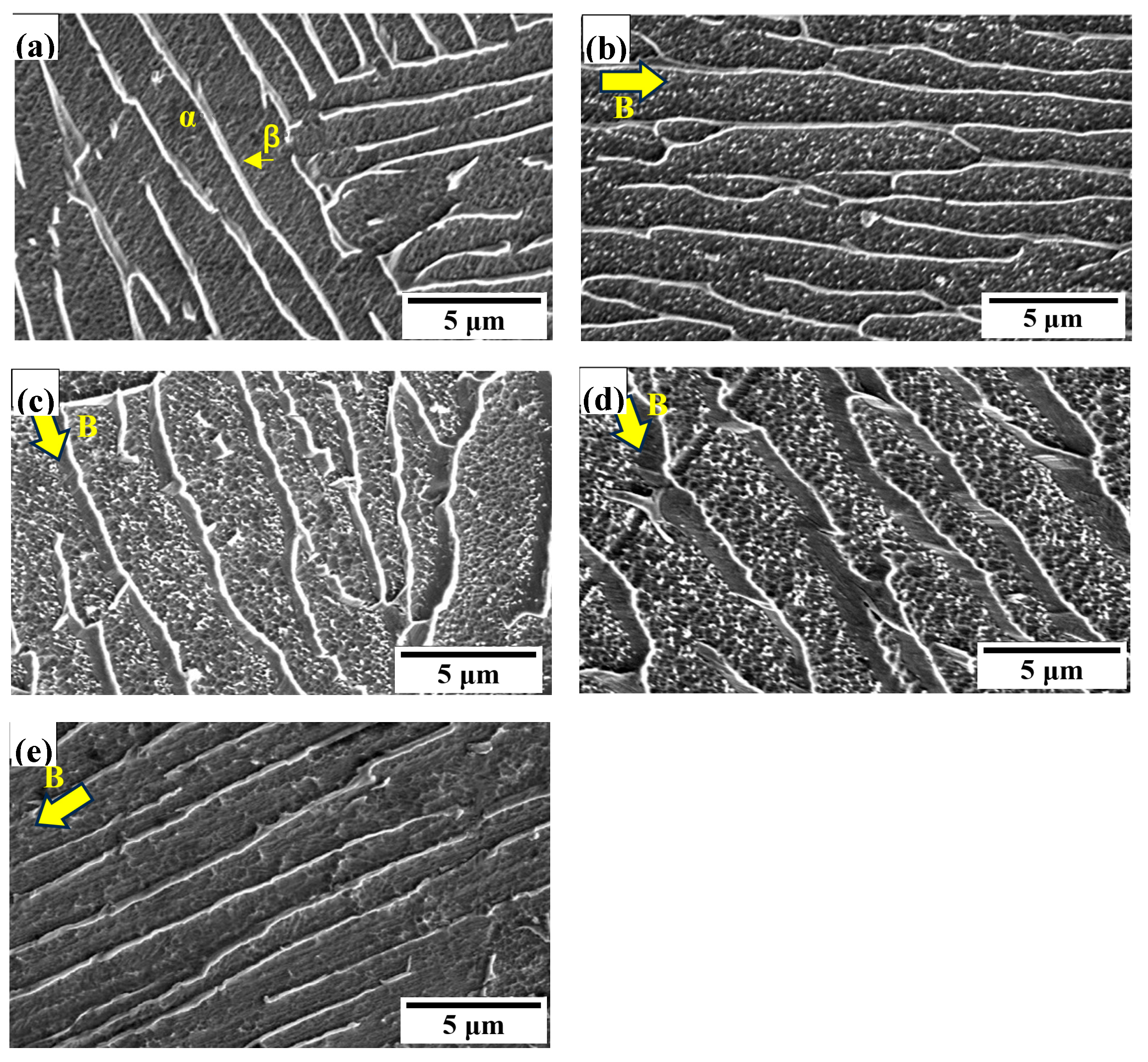 Materials 18 00817 g003