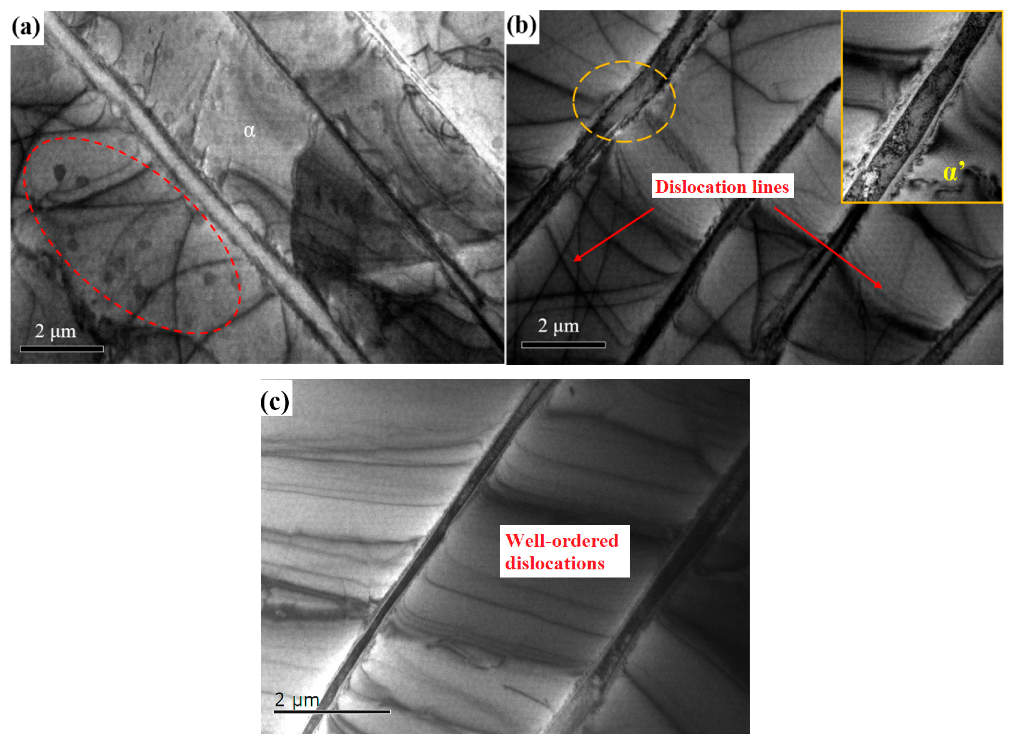 Materials 18 00817 g009