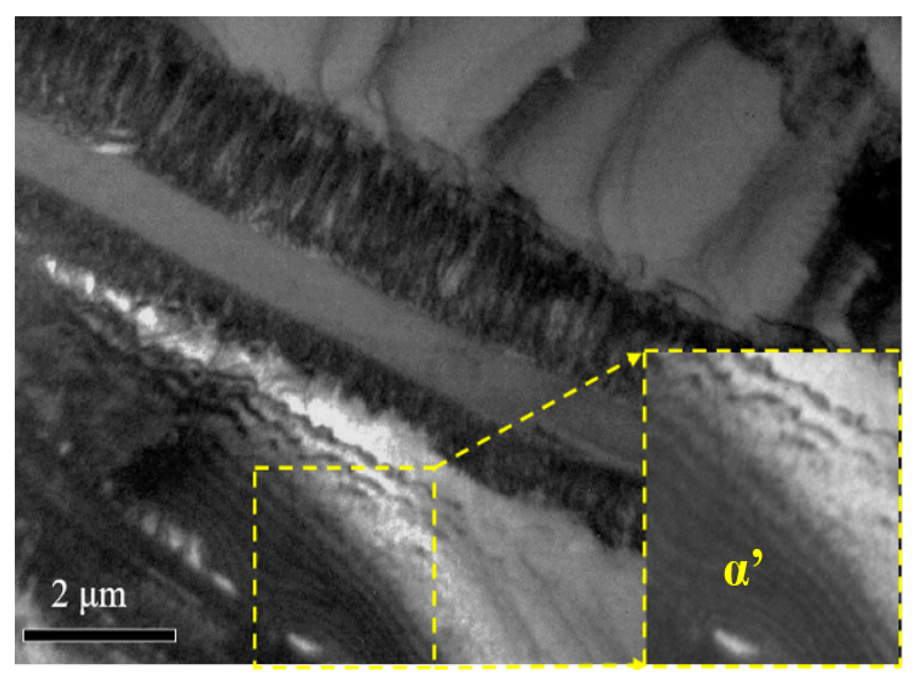 Materials 18 00817 g013