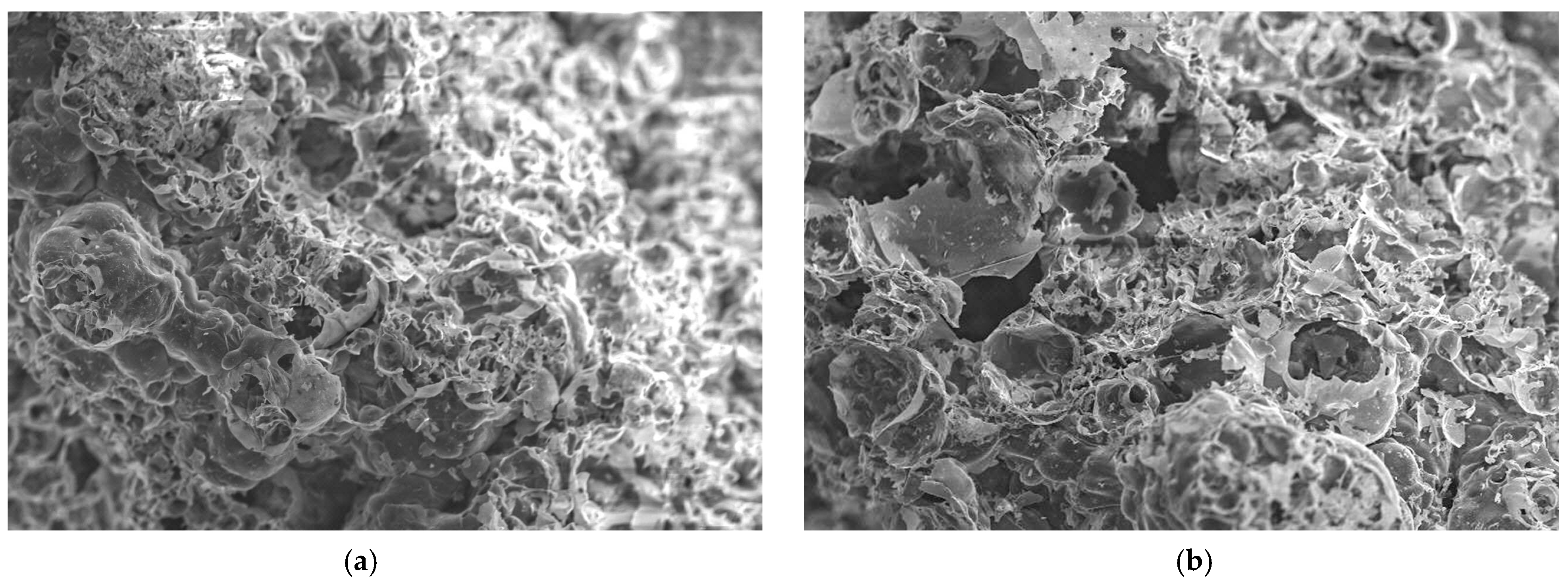 Materials 18 00821 g012