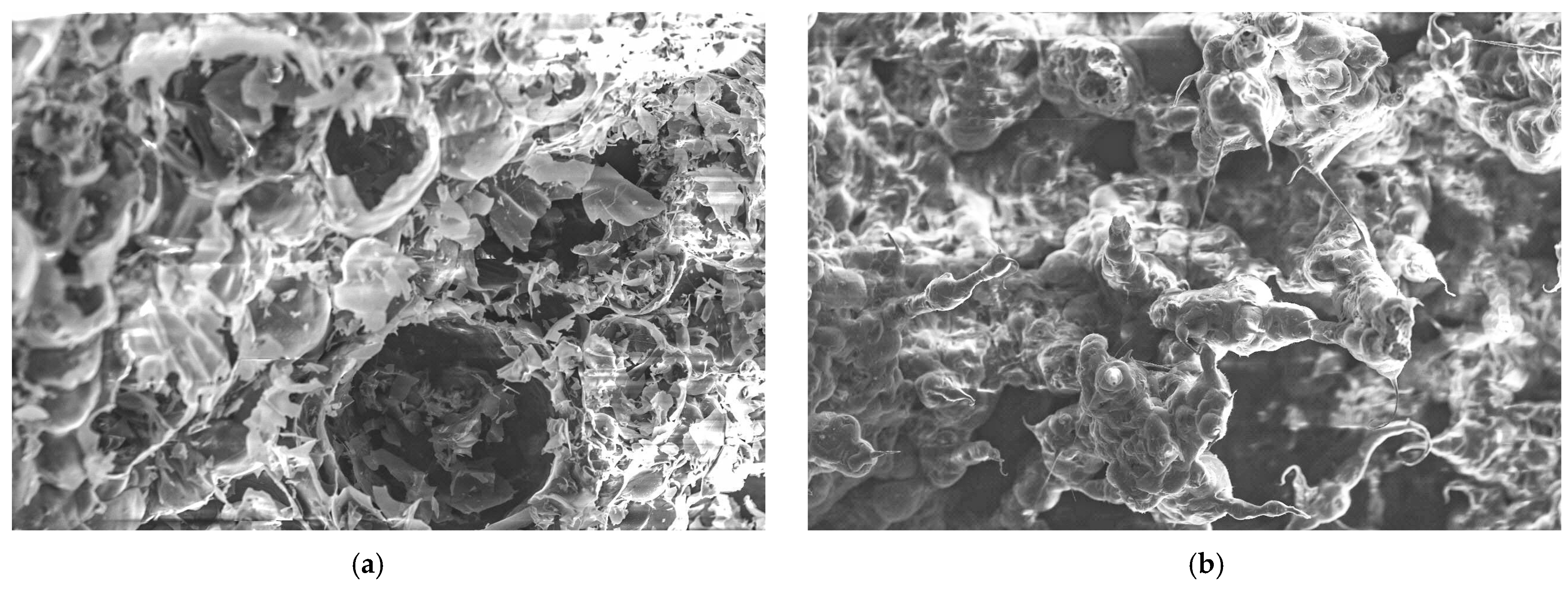 Materials 18 00821 g013