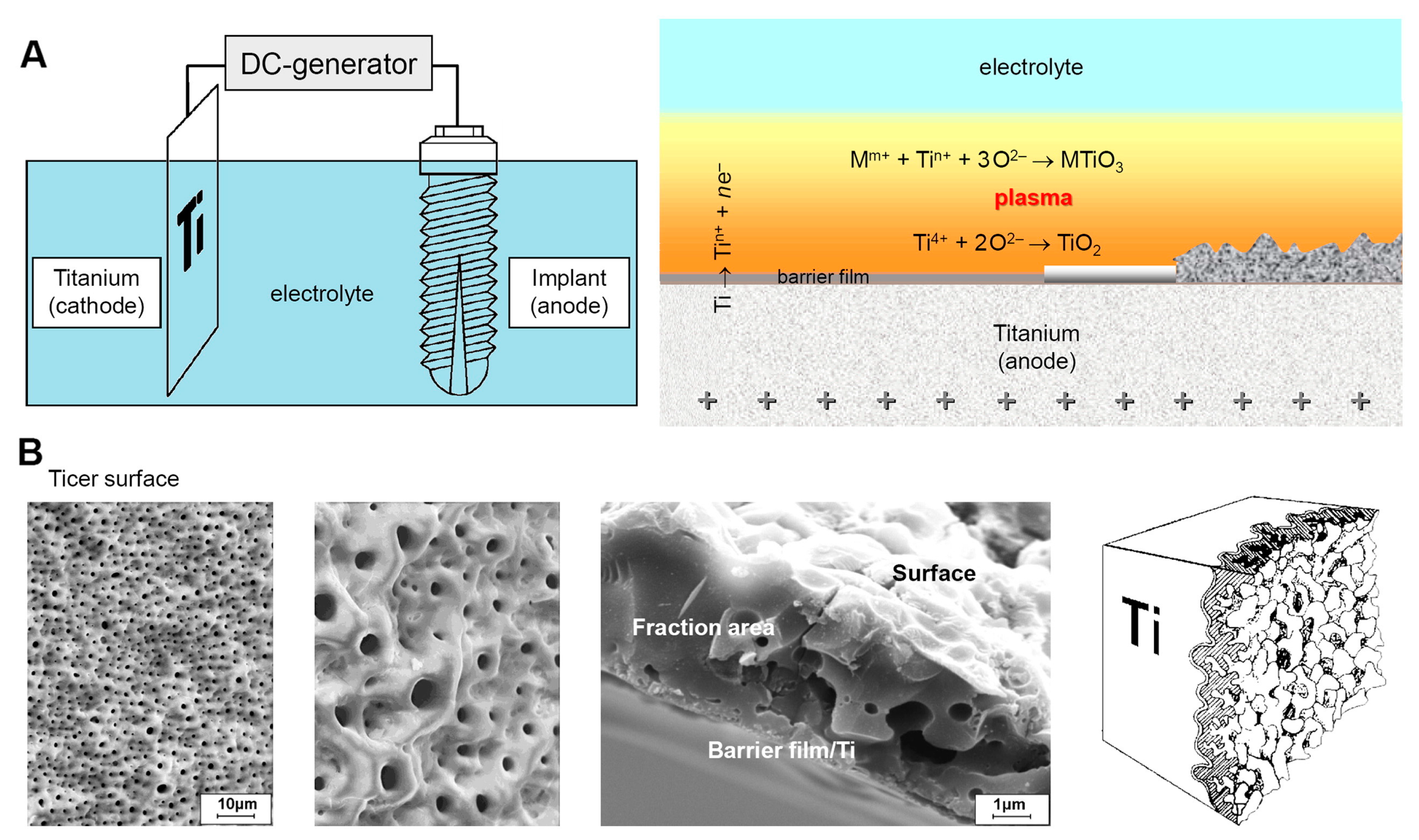 Materials 18 00822 g008