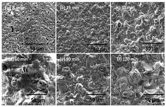 Advanced Strategies for Enhancing the Biocompatibility and