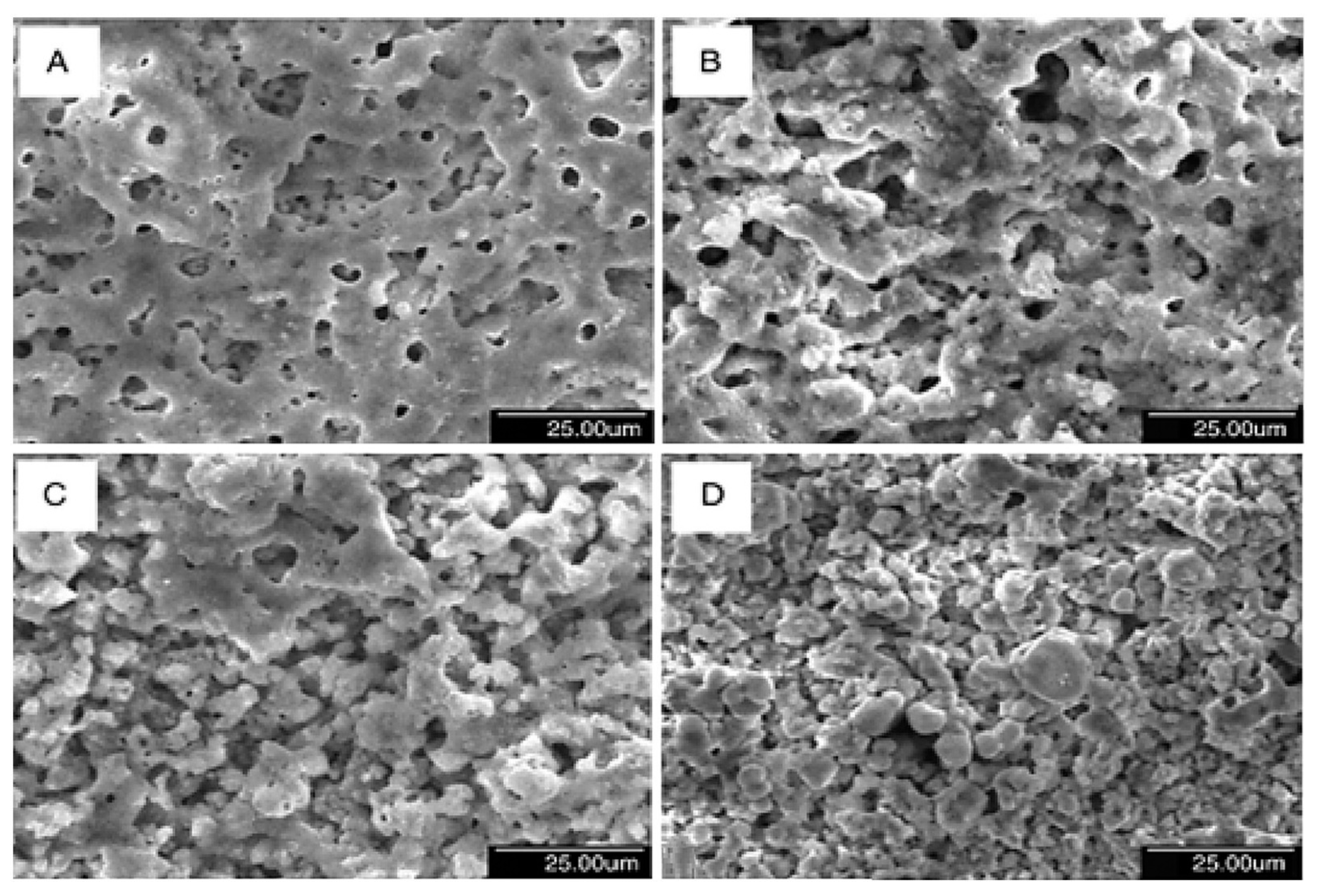 Materials 18 00822 g014