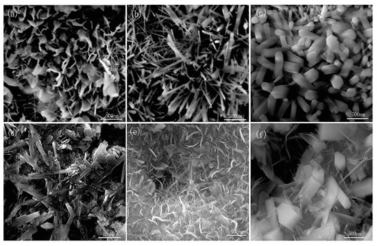 Advanced Strategies for Enhancing the Biocompatibility and
