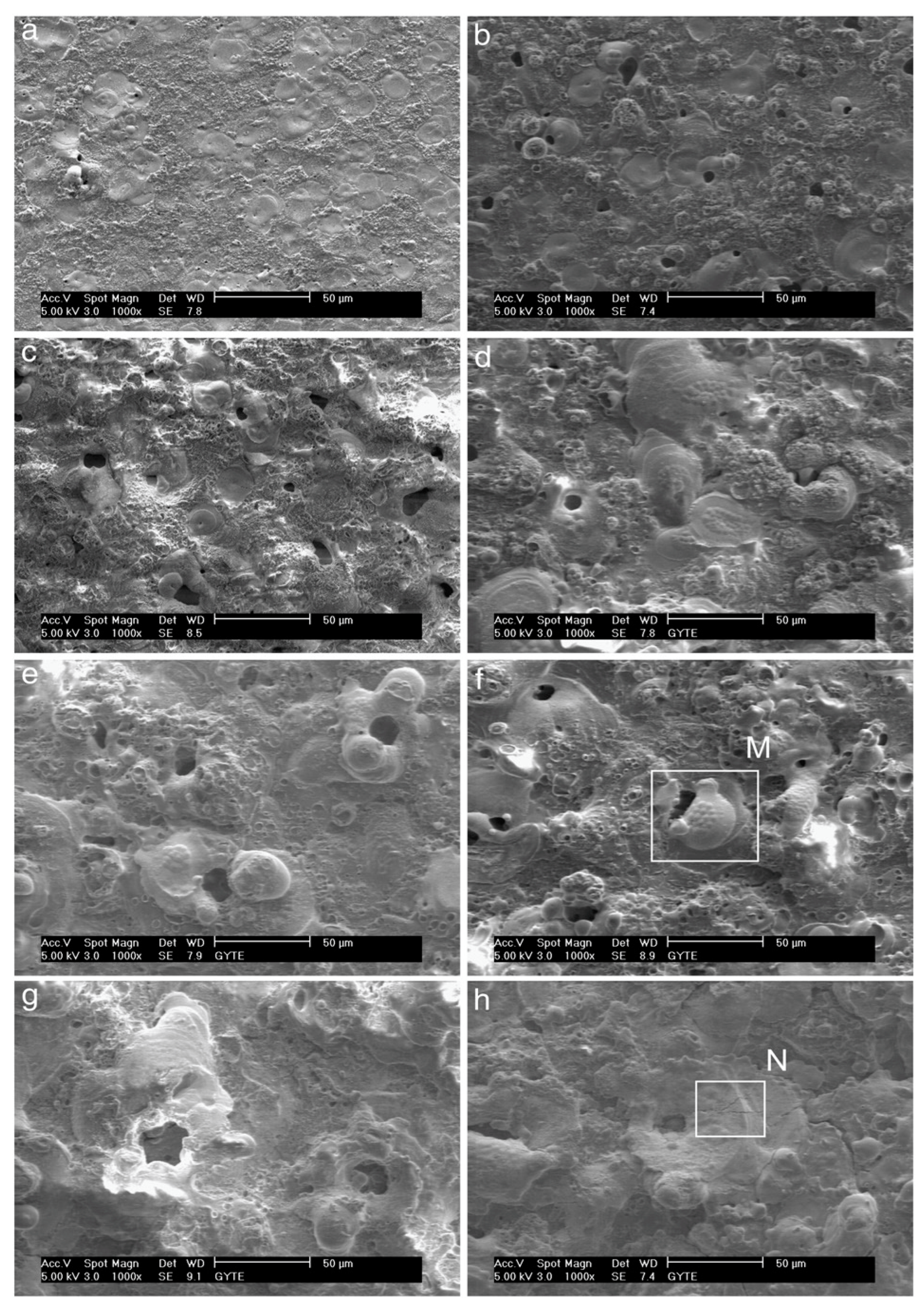 Materials 18 00822 g016