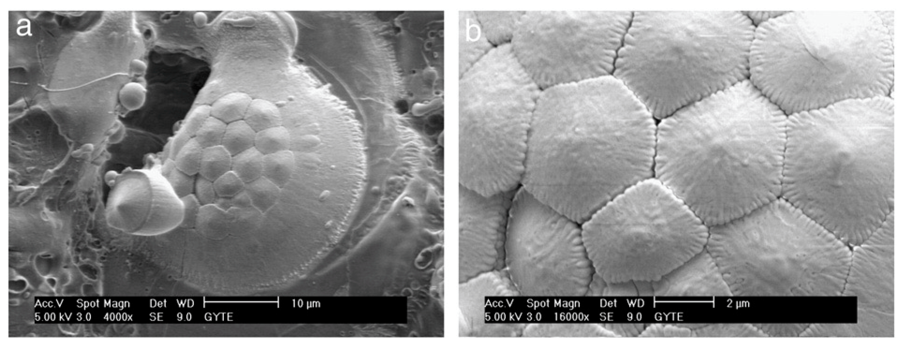 Materials 18 00822 g017