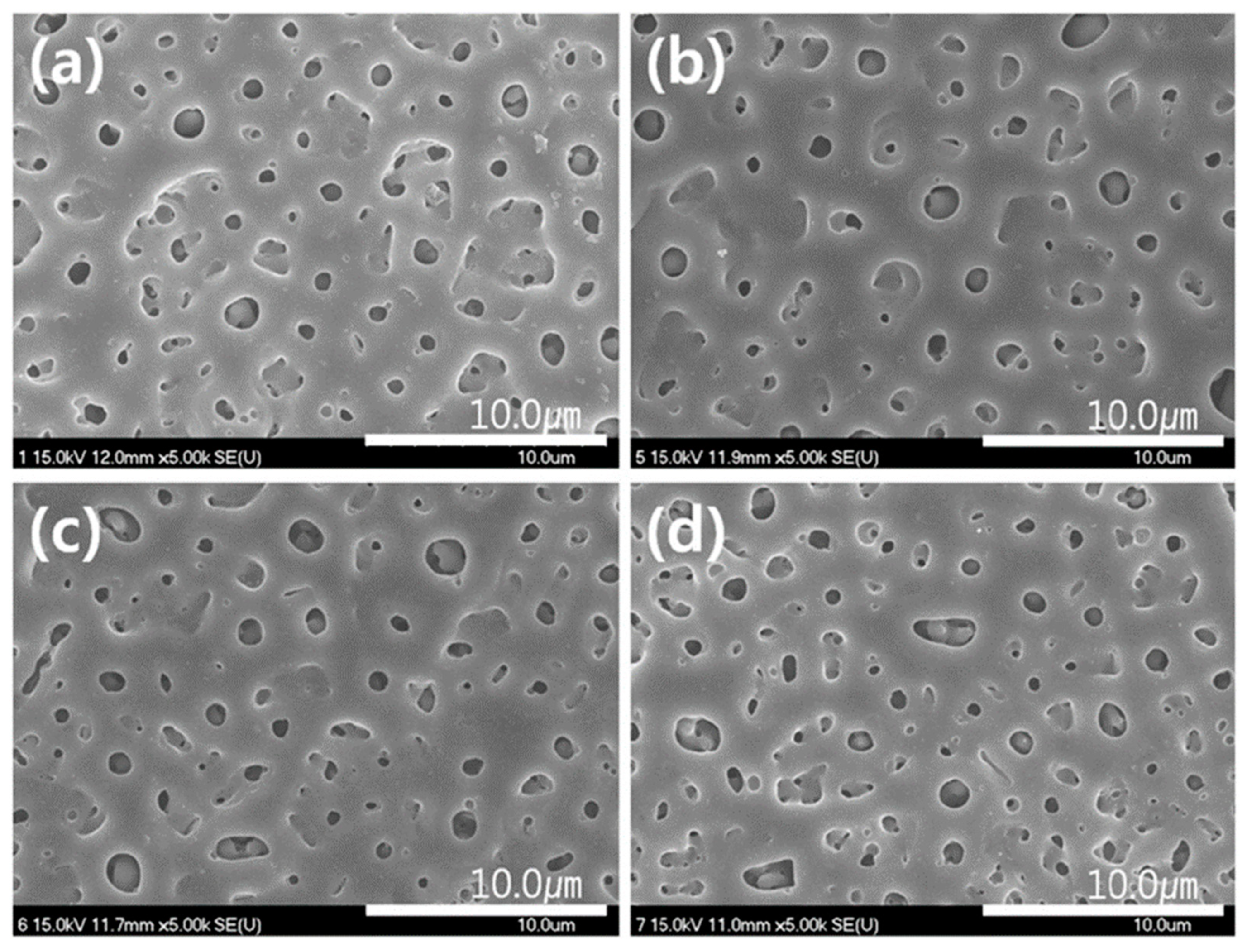 Materials 18 00822 g020