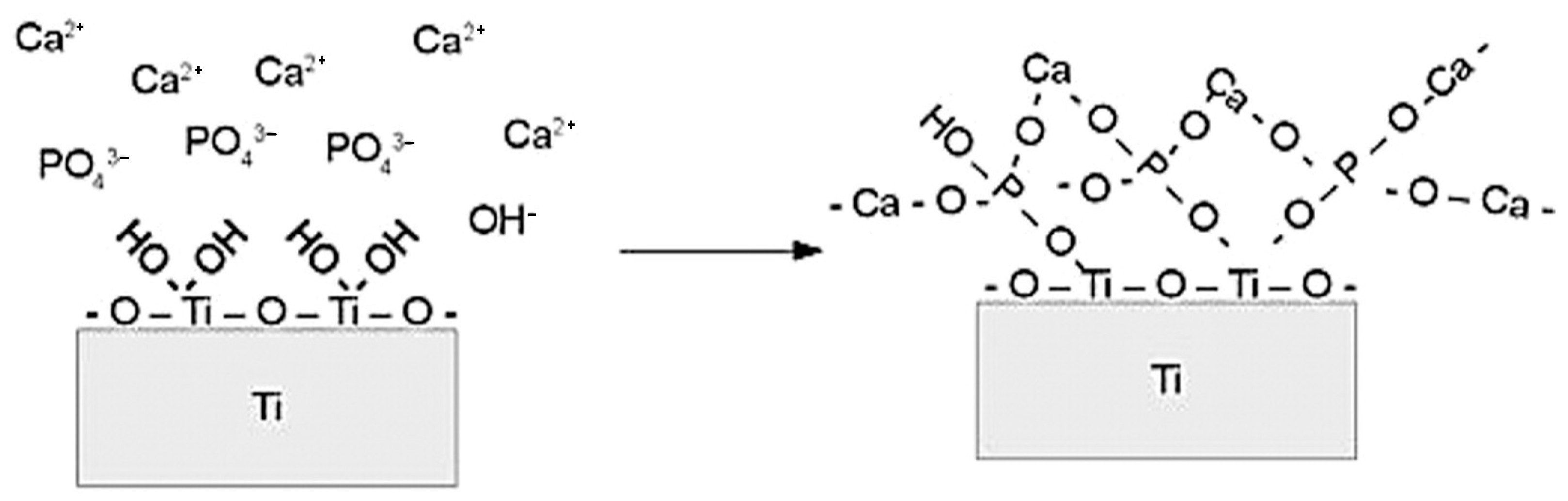 Materials 18 00822 g024
