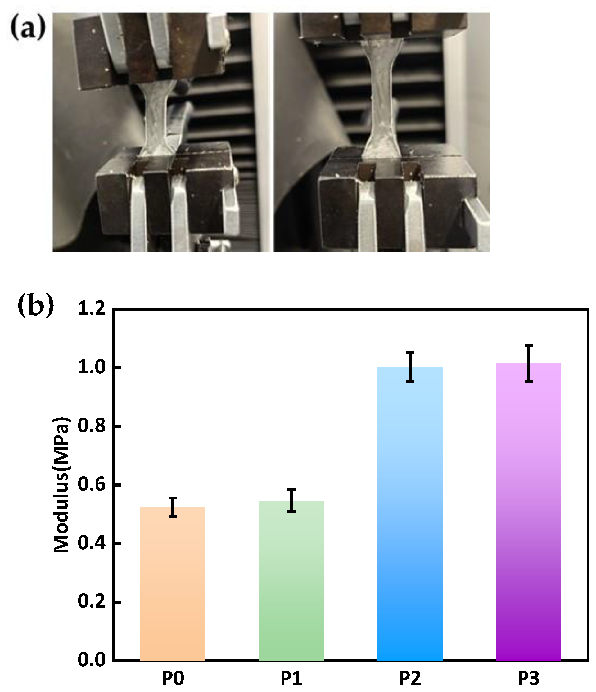 Materials 18 00827 g005