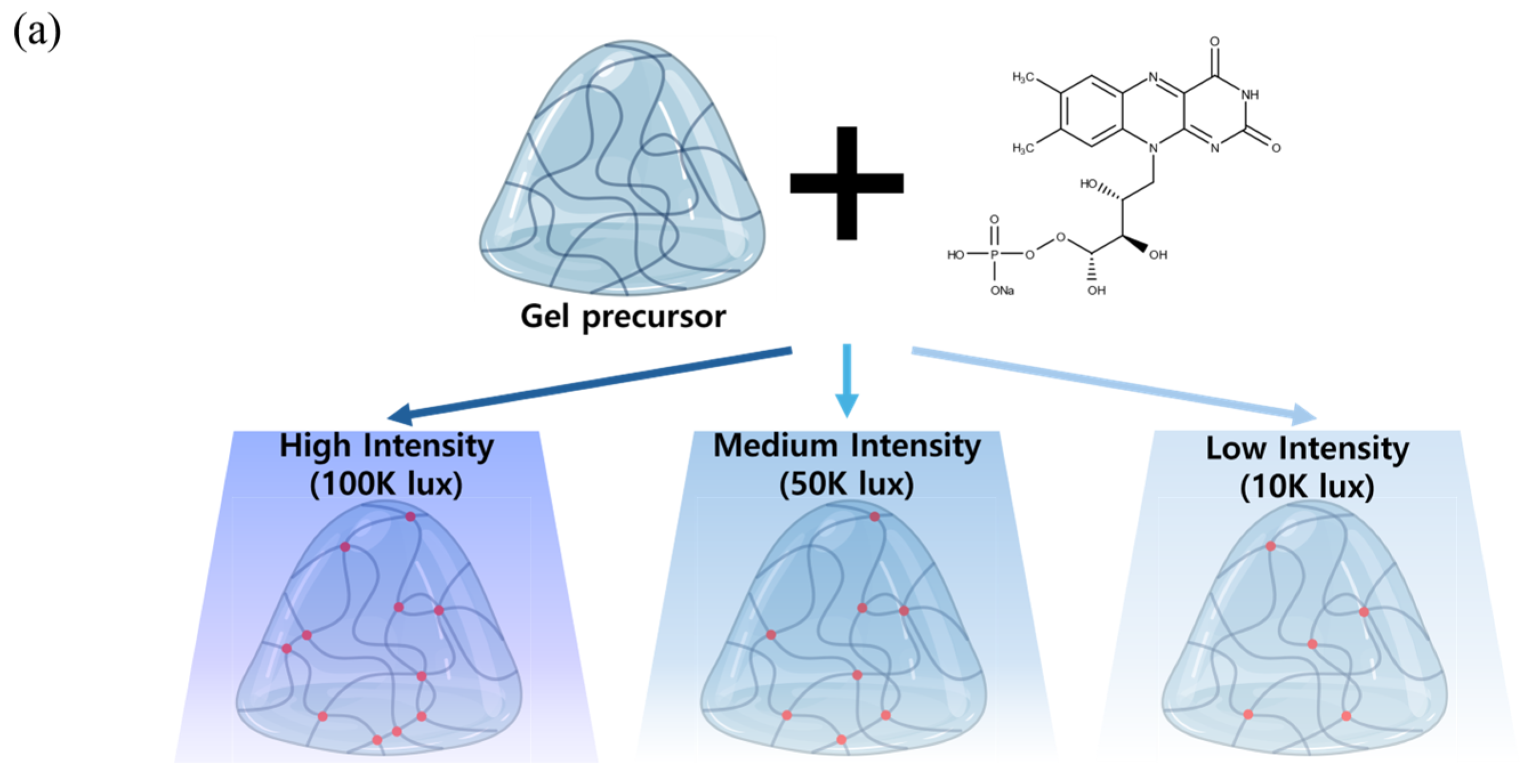 Materials 18 00828 g001a