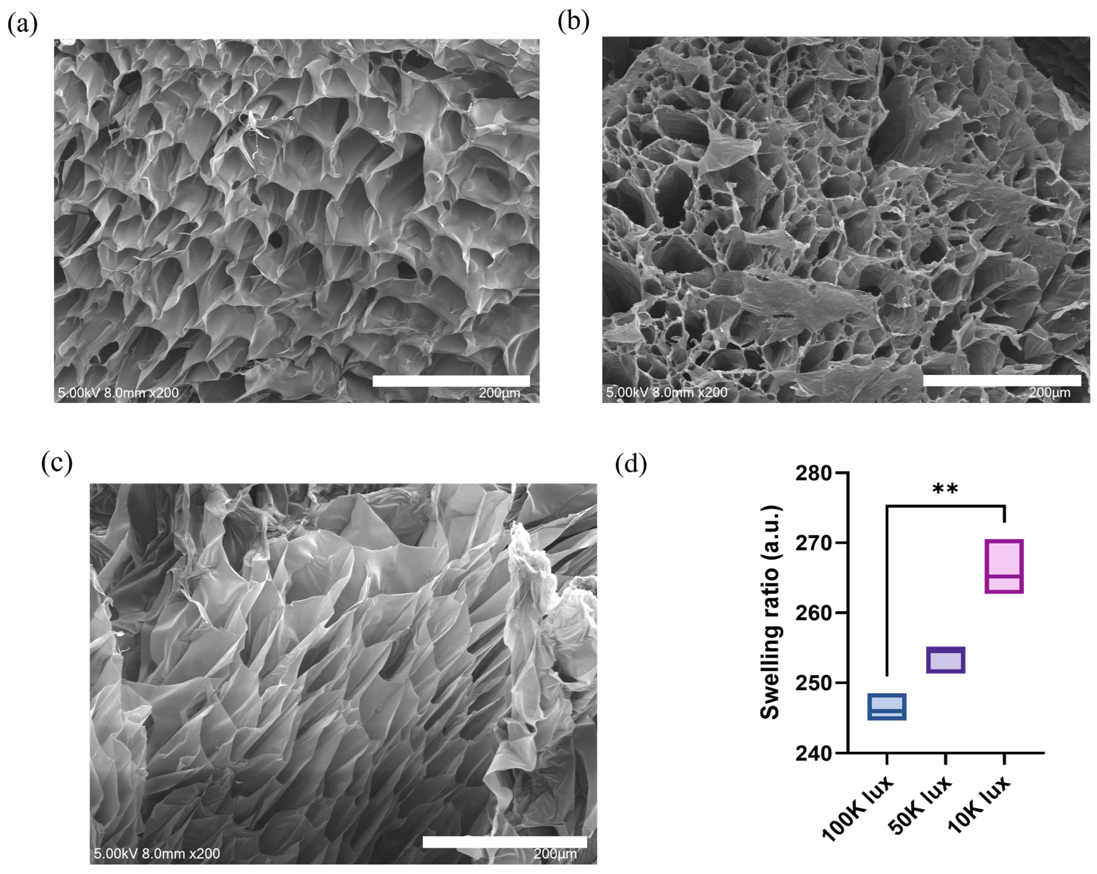 Materials 18 00828 g002