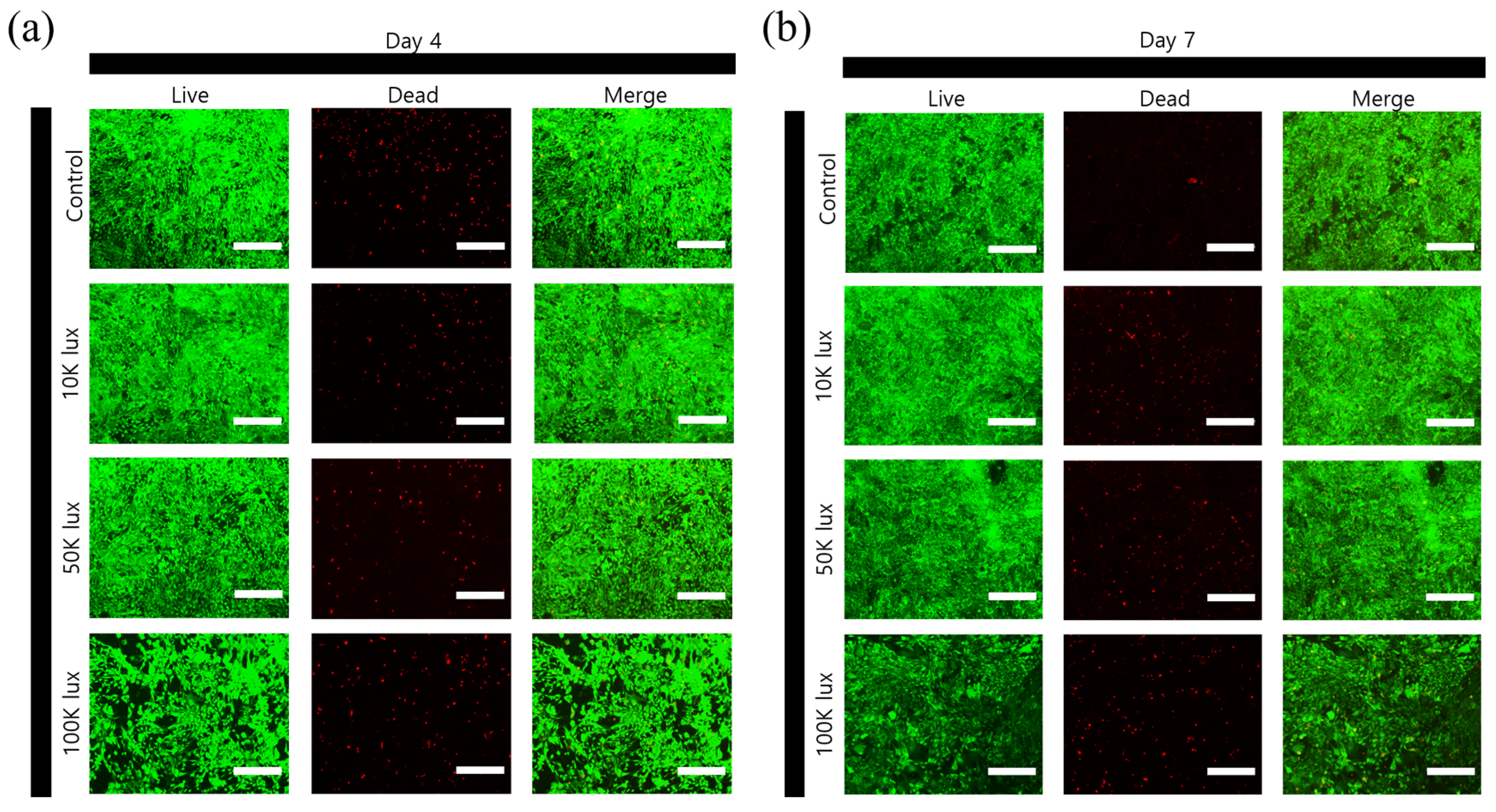 Materials 18 00828 g004a