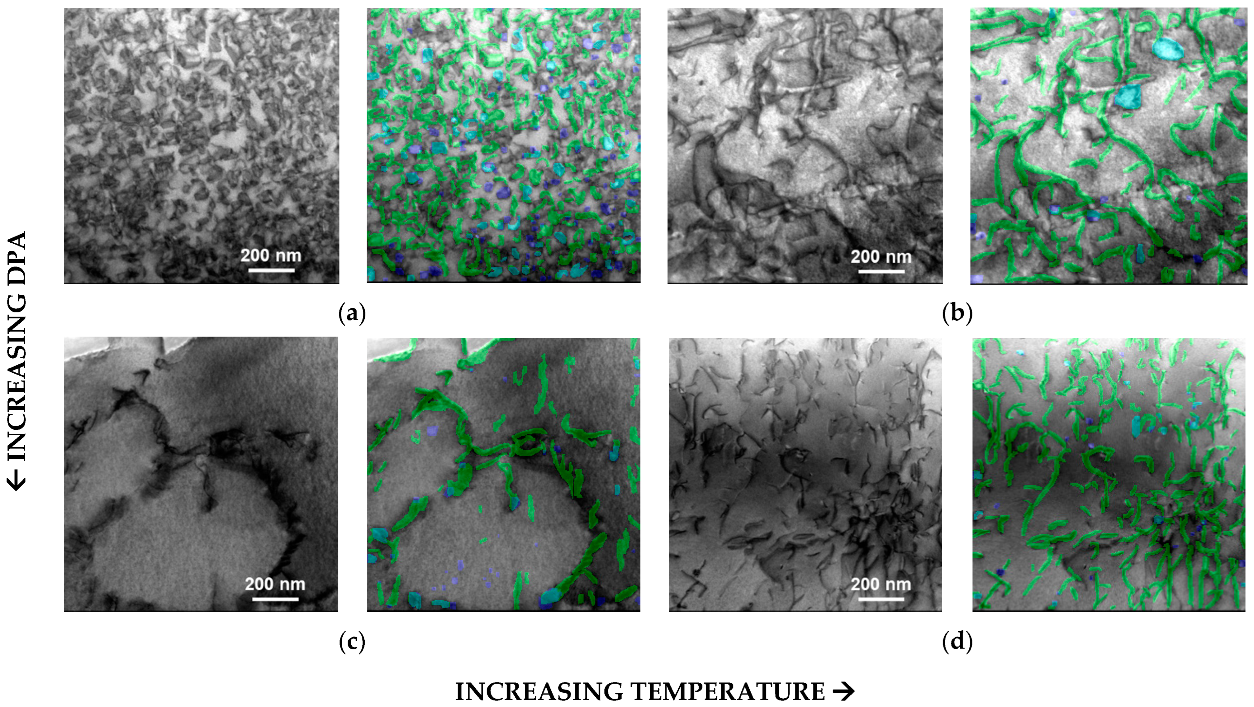 Materials 18 00833 g005 Materials 18 00833 g005