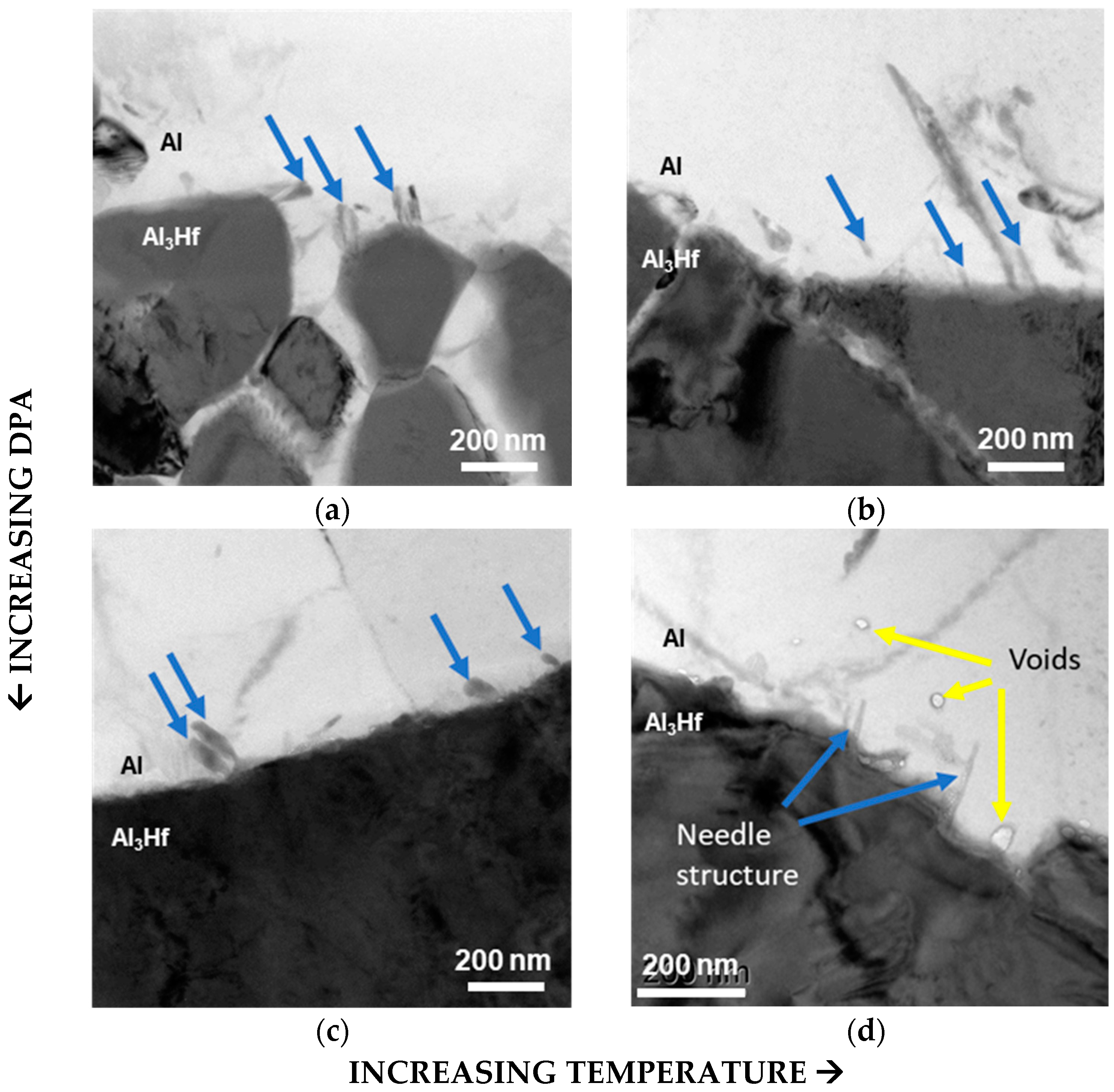 Materials 18 00833 g008 Materials 18 00833 g008