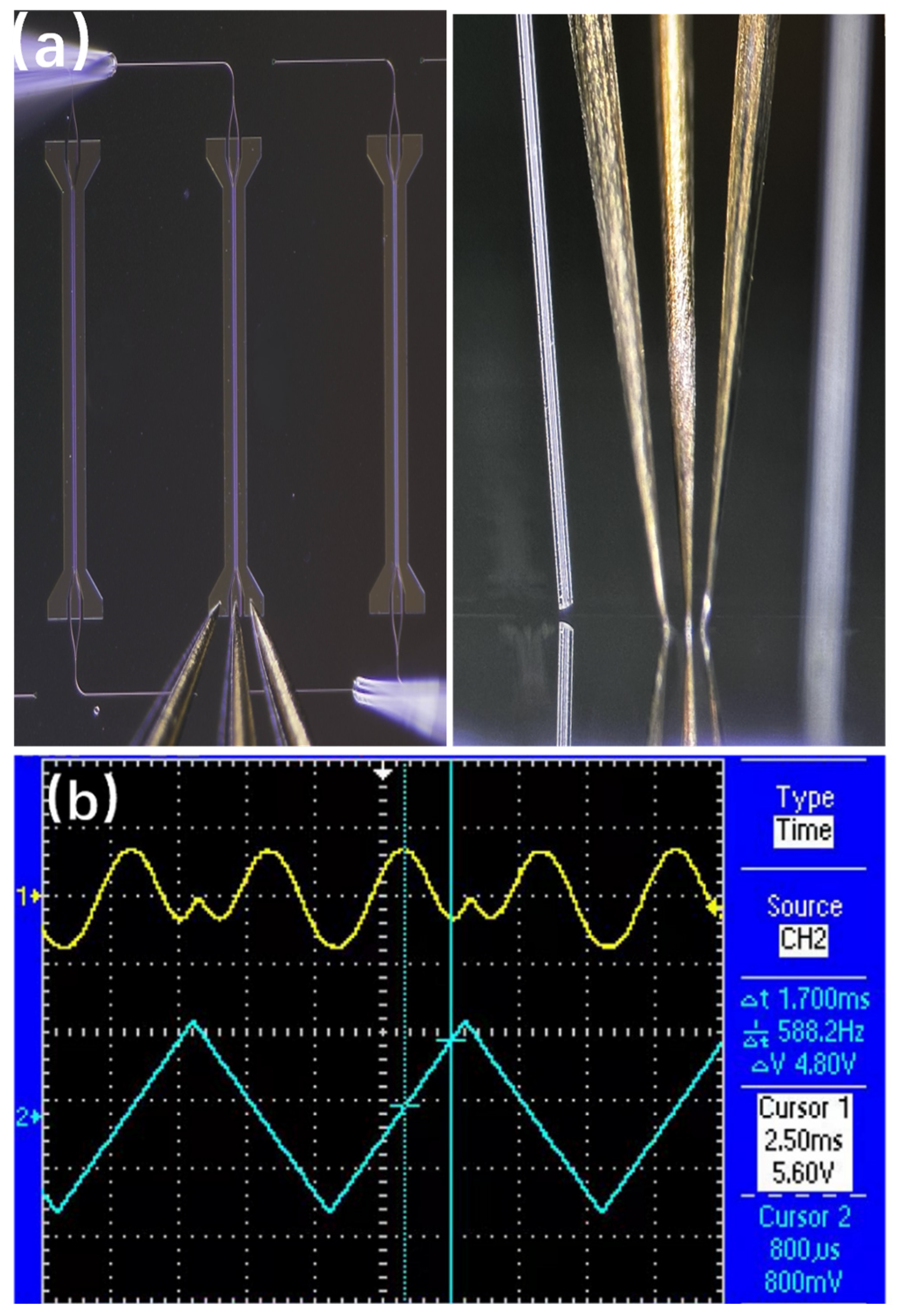 Materials 18 00837 g005